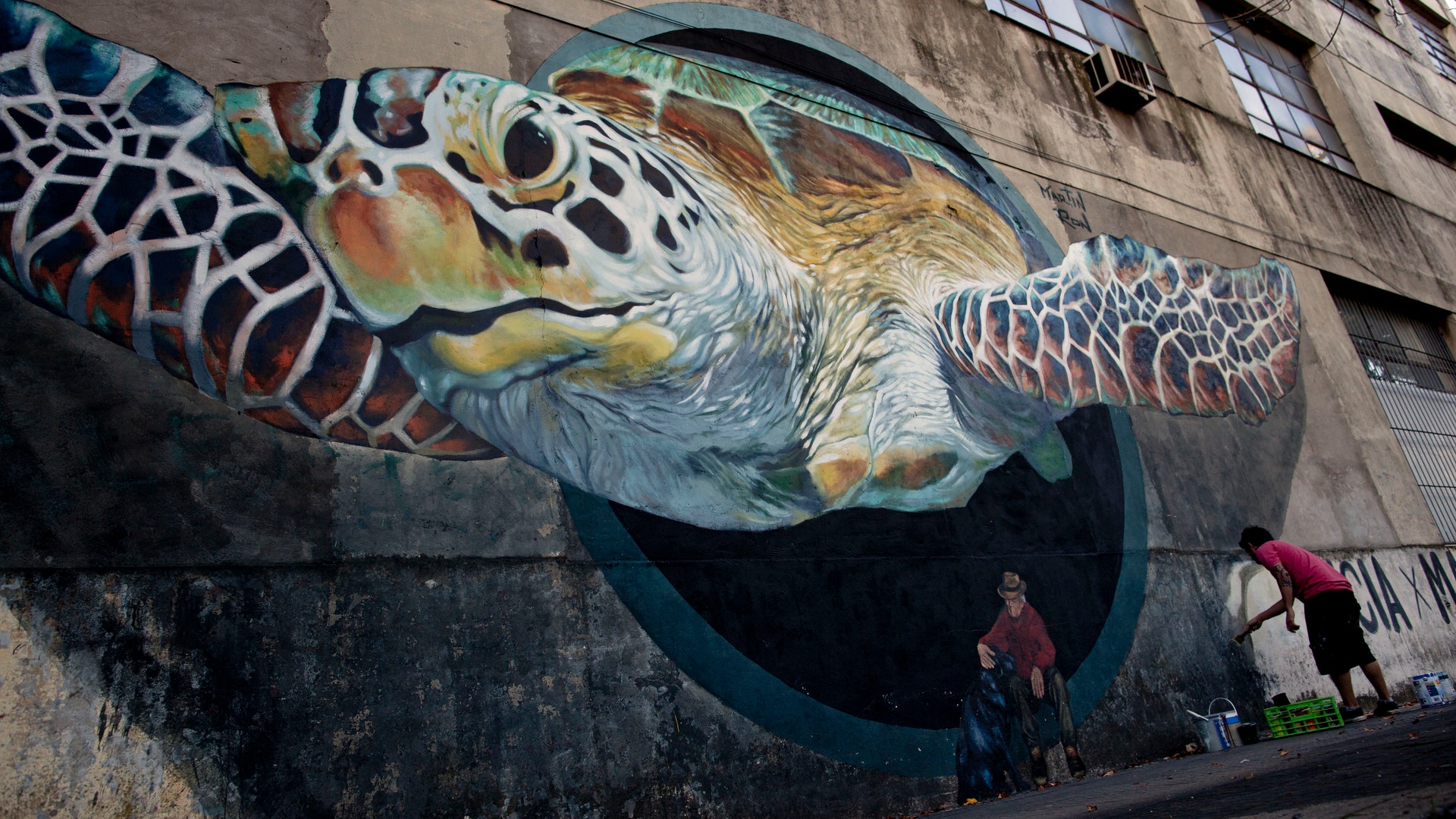 Buenos Aires A Mecca For International Street Art Fox News 