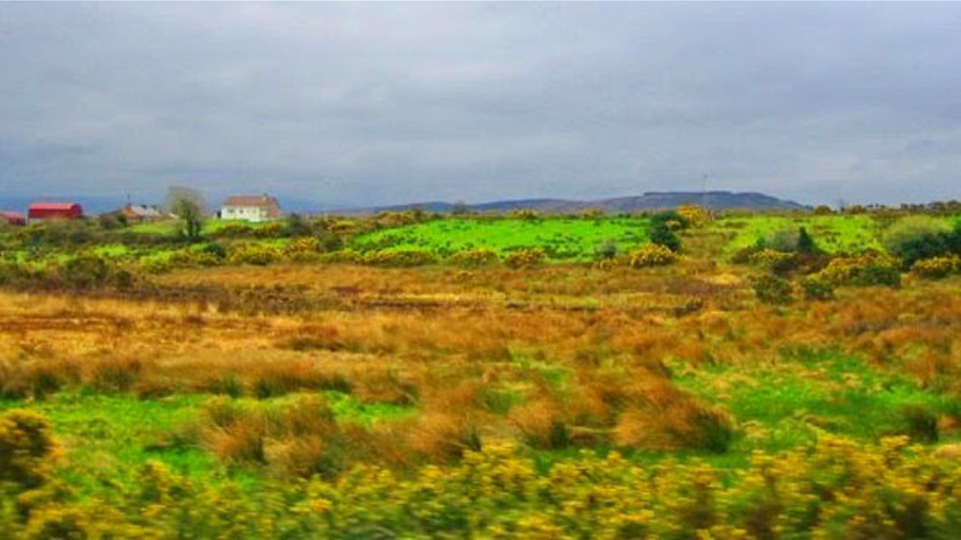 Arleen_Rodriguez_Ireland_Landscape