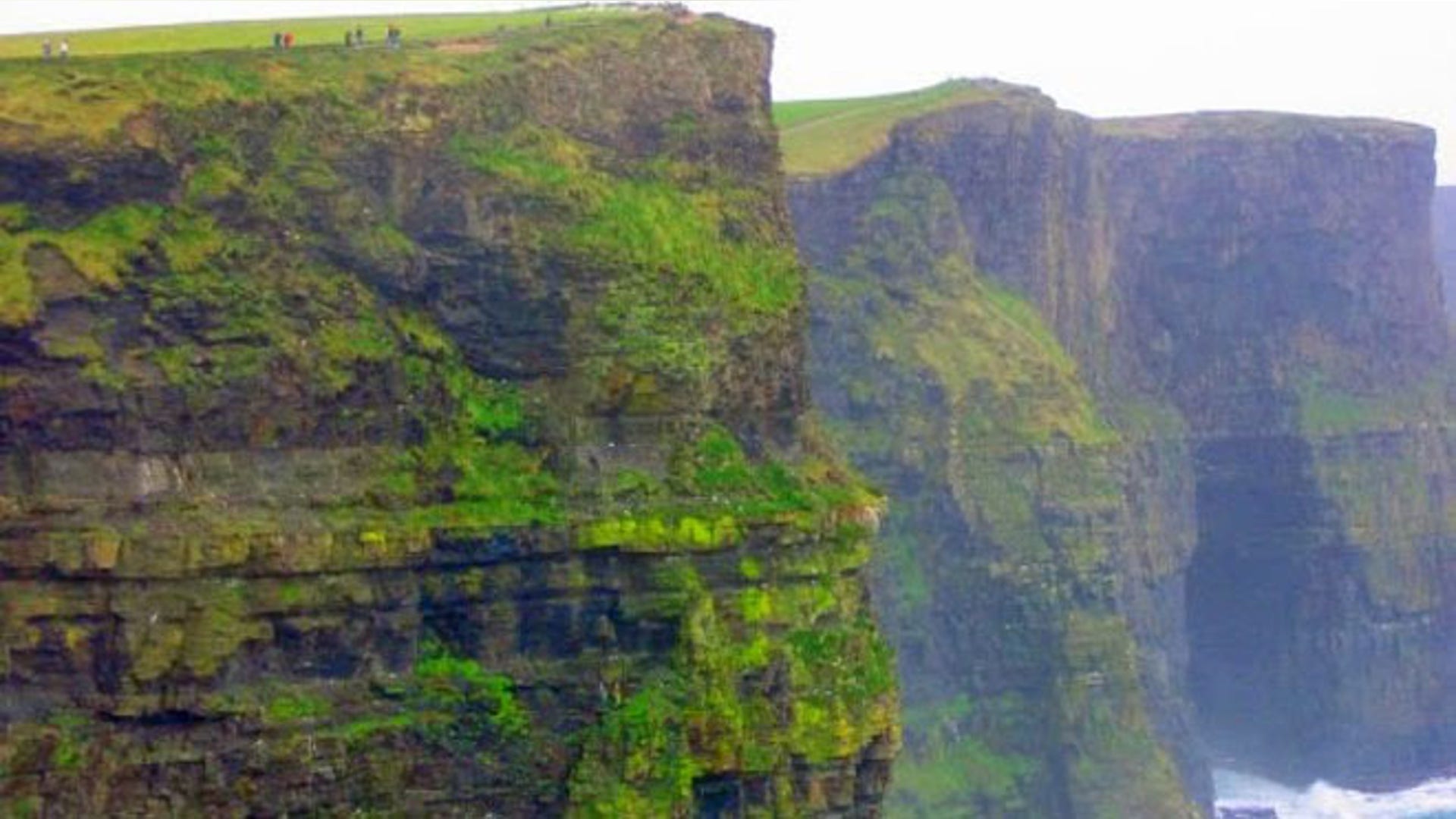 Arleen_Rodriguez_Irish_Scene