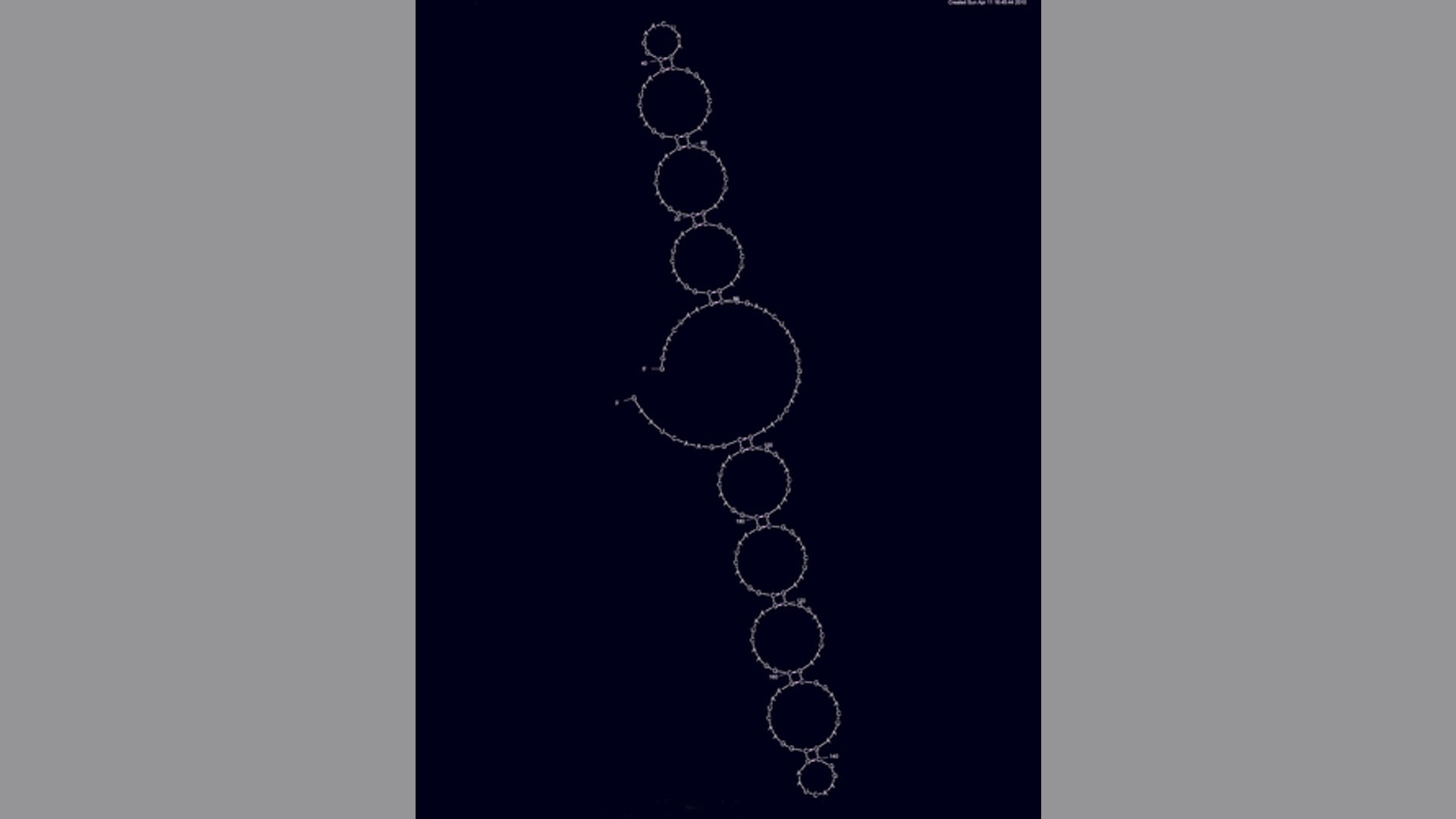 Midnight RNA Structure