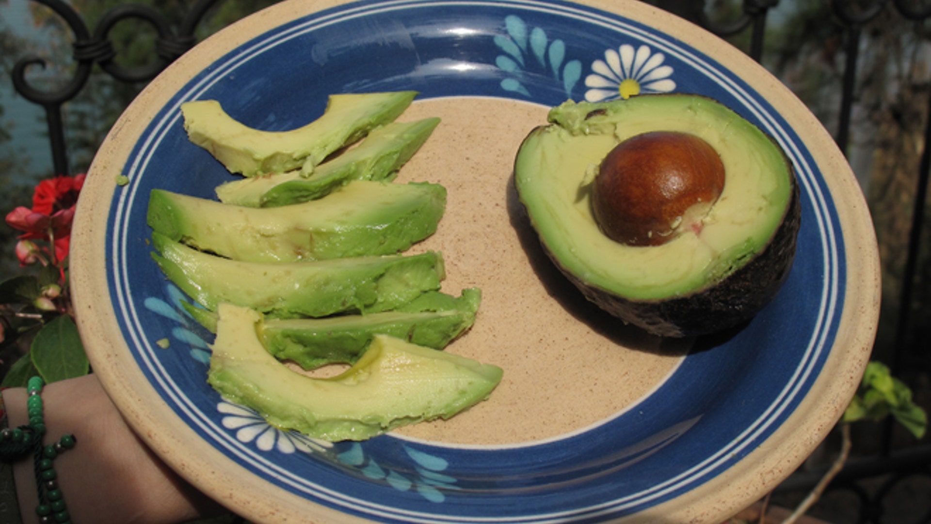 Avocado_Latino_Front