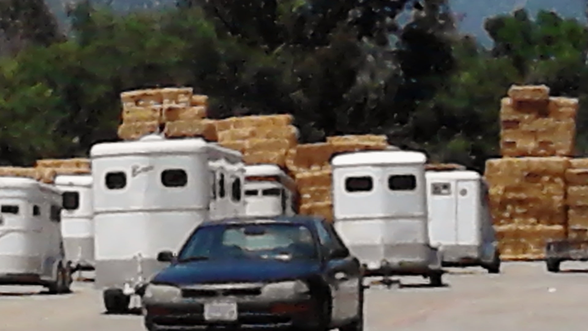 Bales_at_Santa_Anita