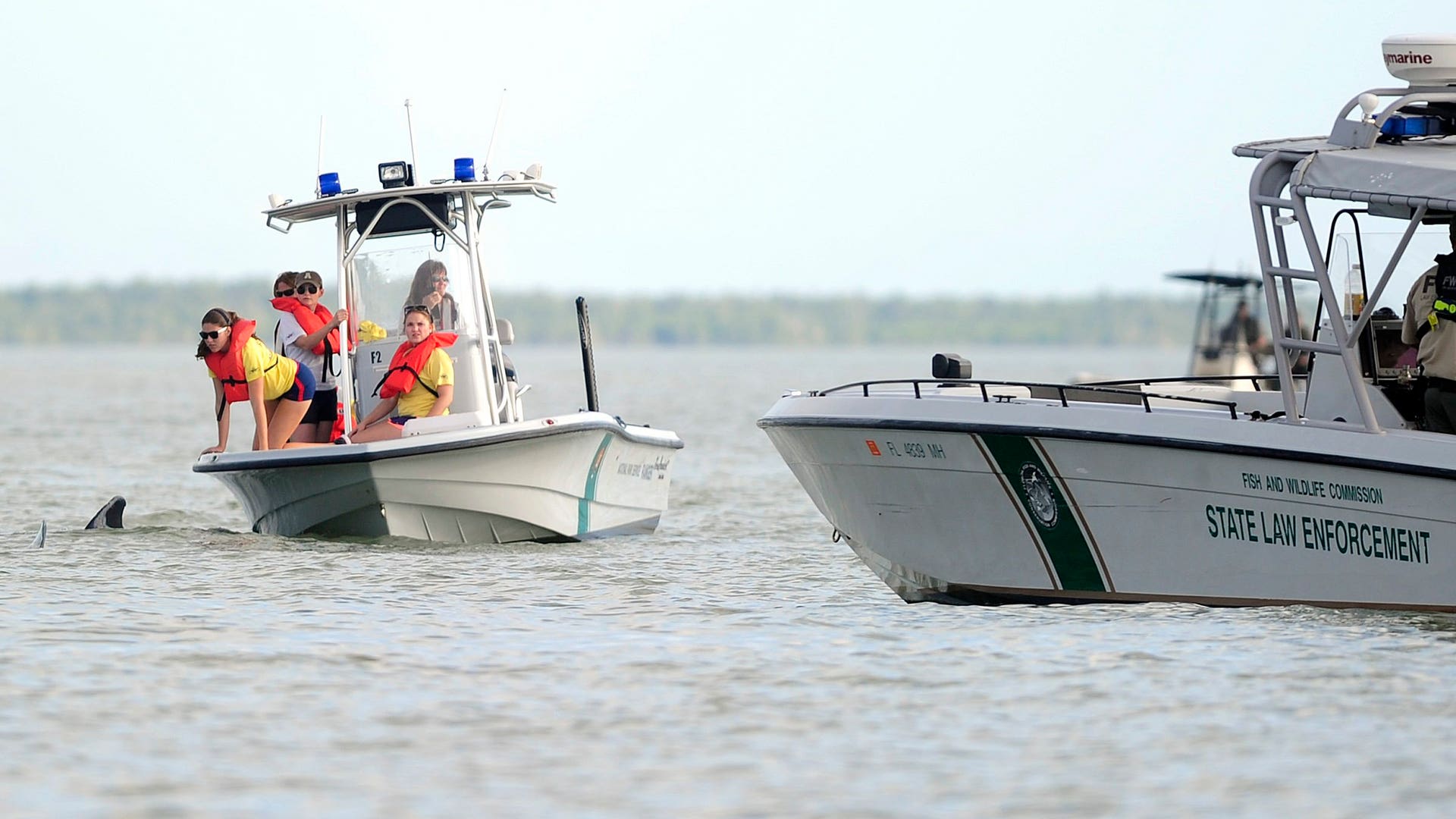 Beached_Whale_Latino__2_