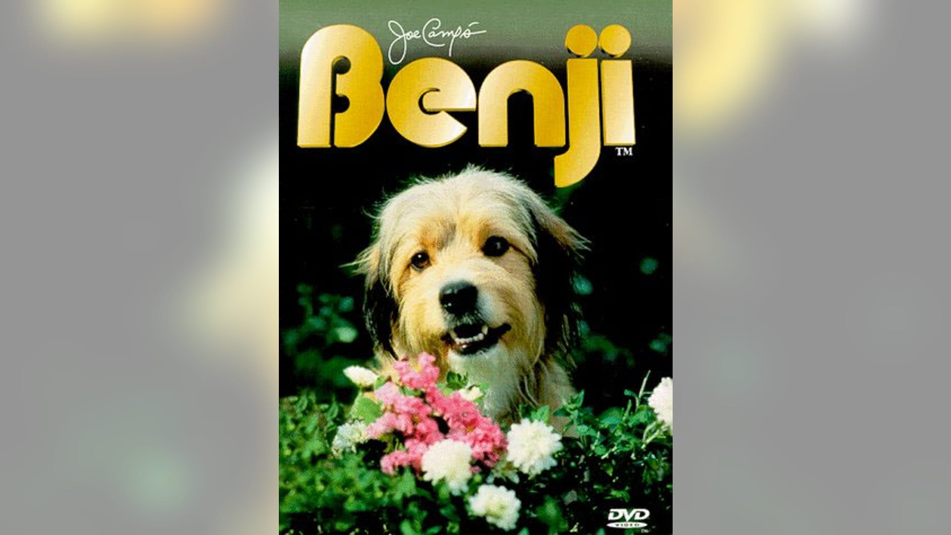 Benji