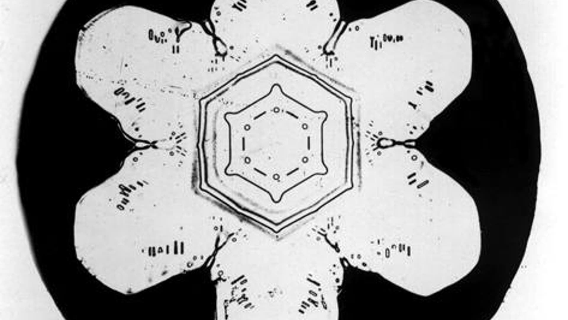 Bentley's Snowflakes