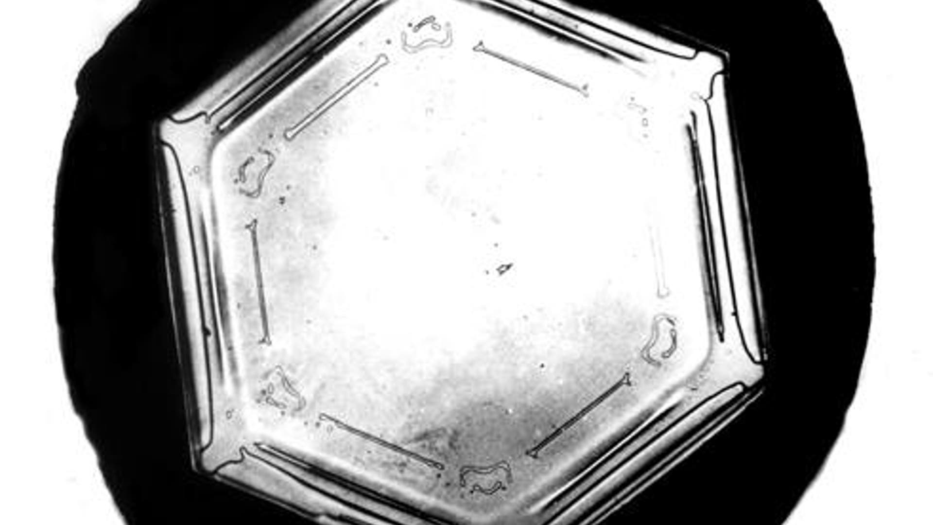 Bentley's Snowflakes