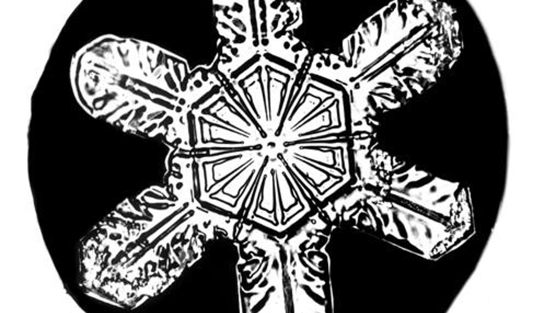 Bentley's Snowflakes