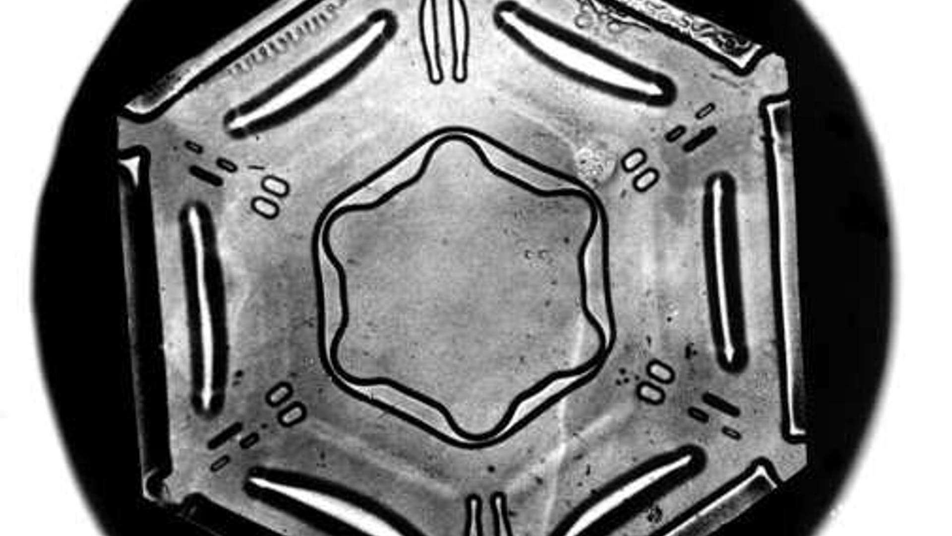 Bentley's Snowflakes