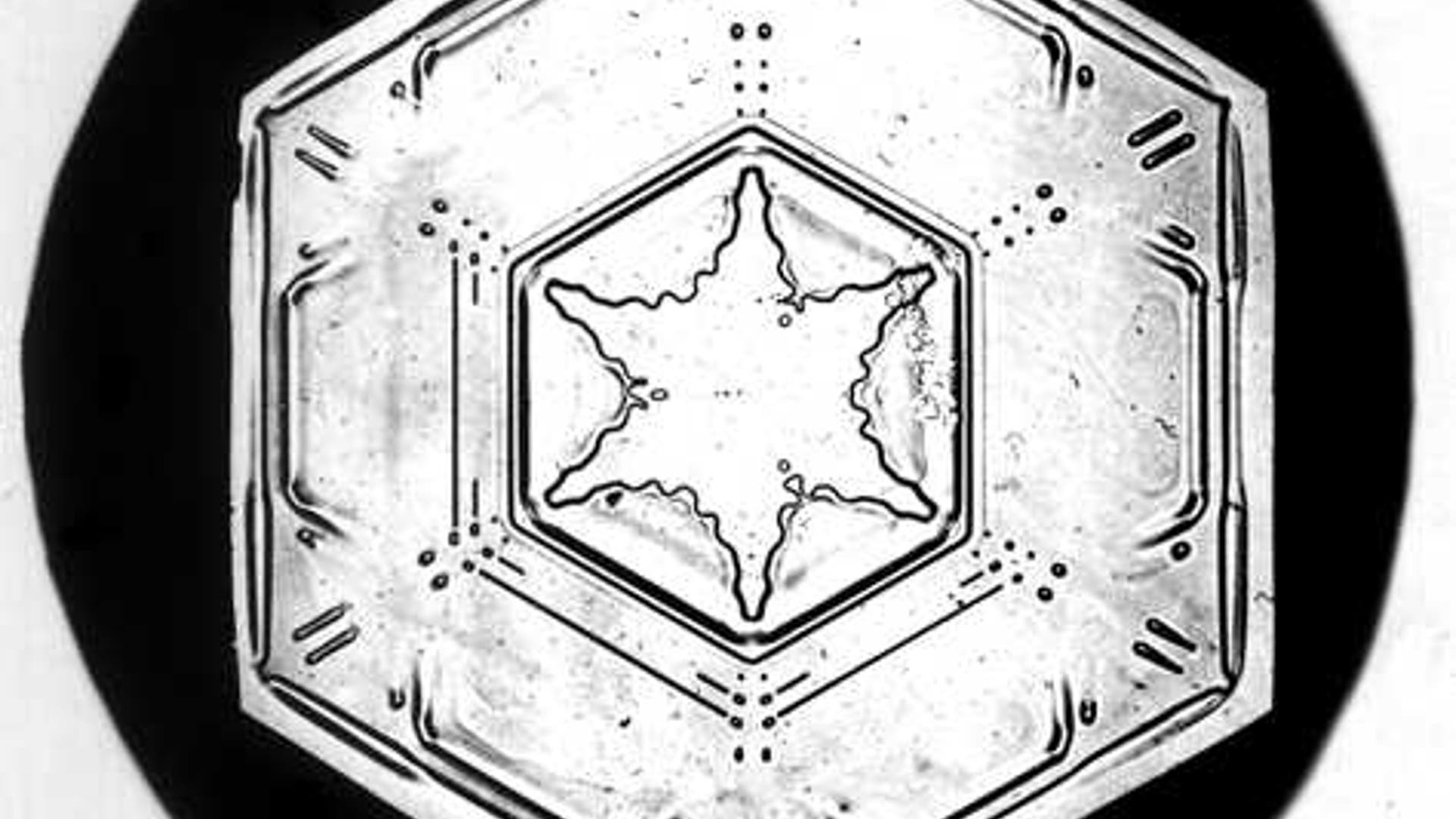 Bentley's Snowflakes