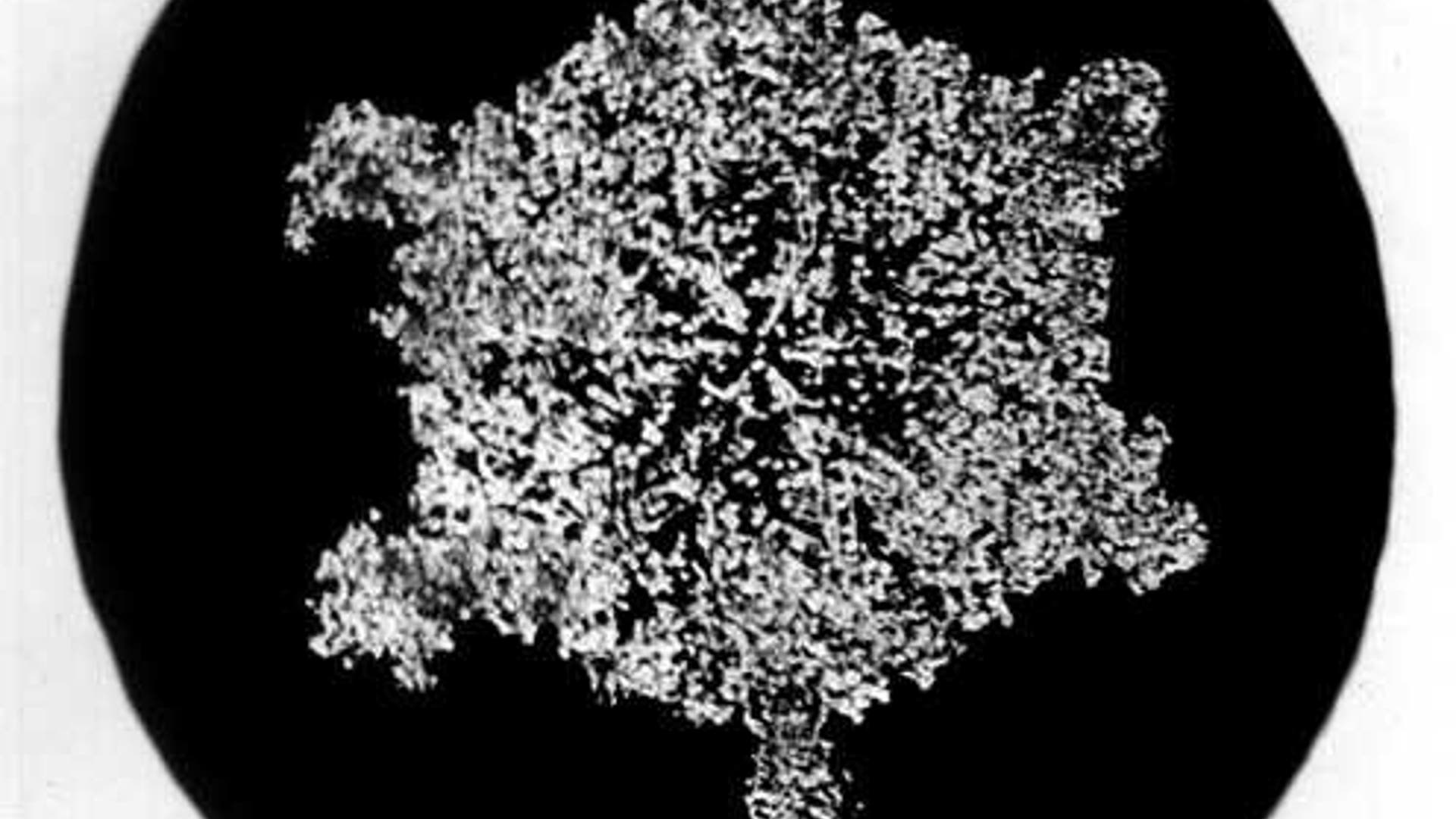 Bentley's Snowflakes