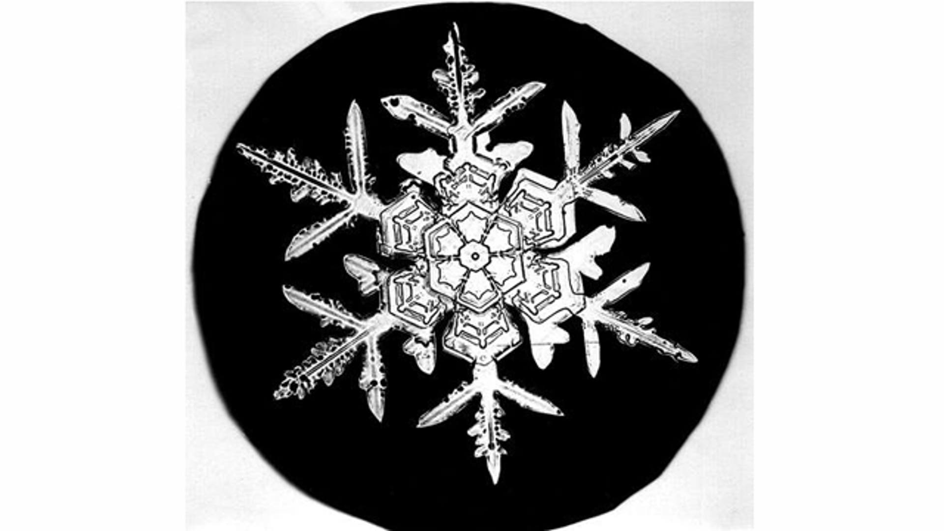 Wilson Bentley's Pioneering Snowflake Photography | Fox News
