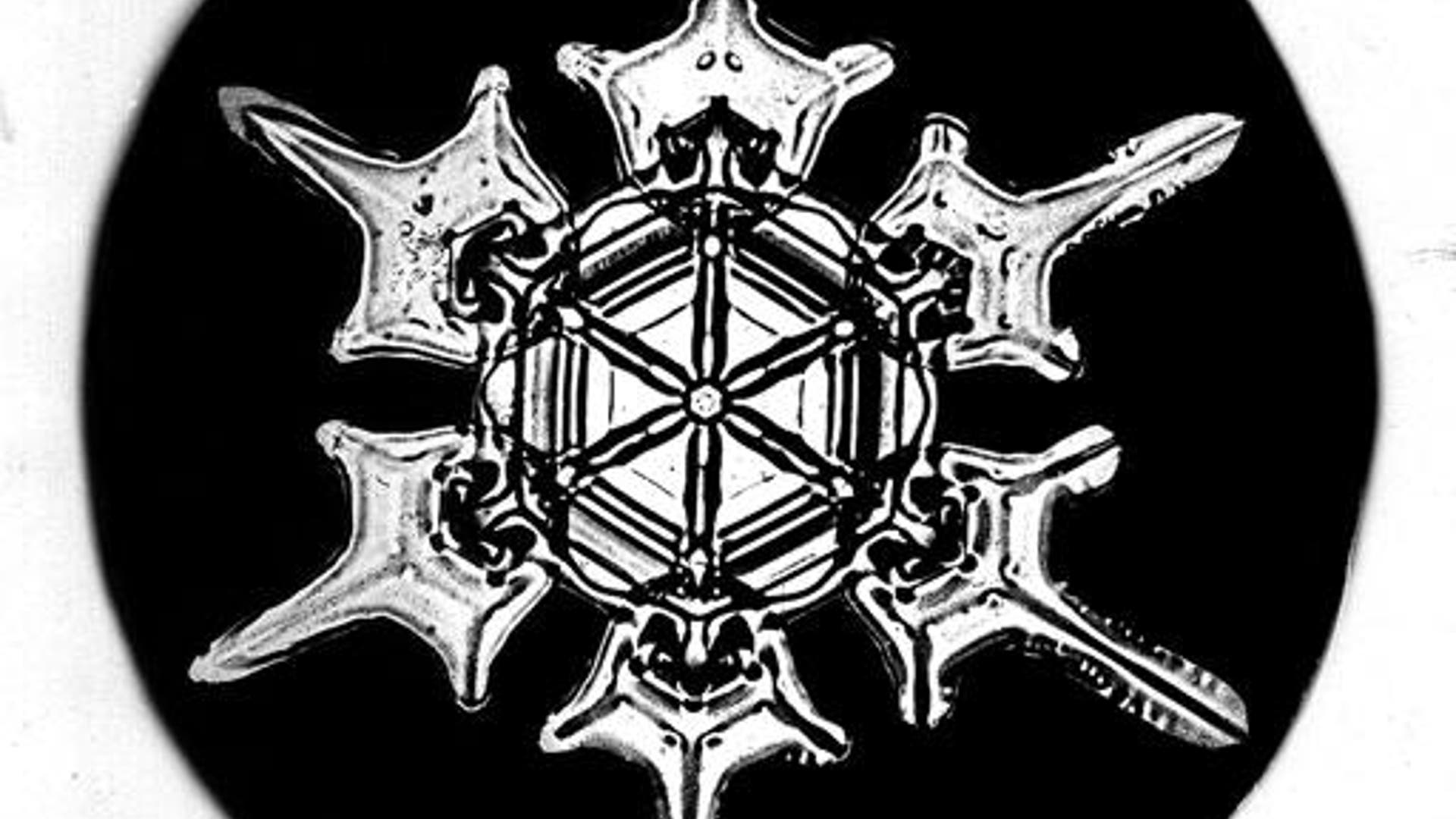 Bentley's Snowflakes