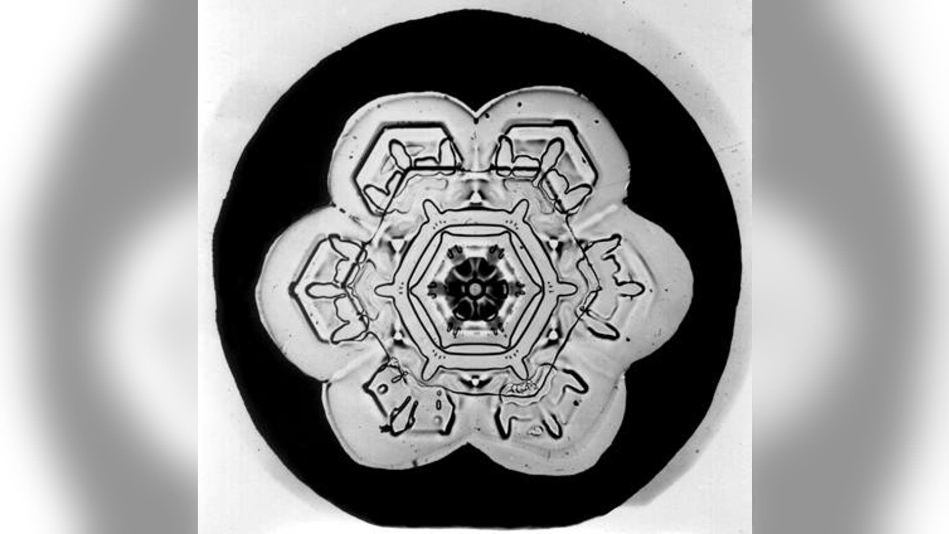 Bentley's Snowflakes