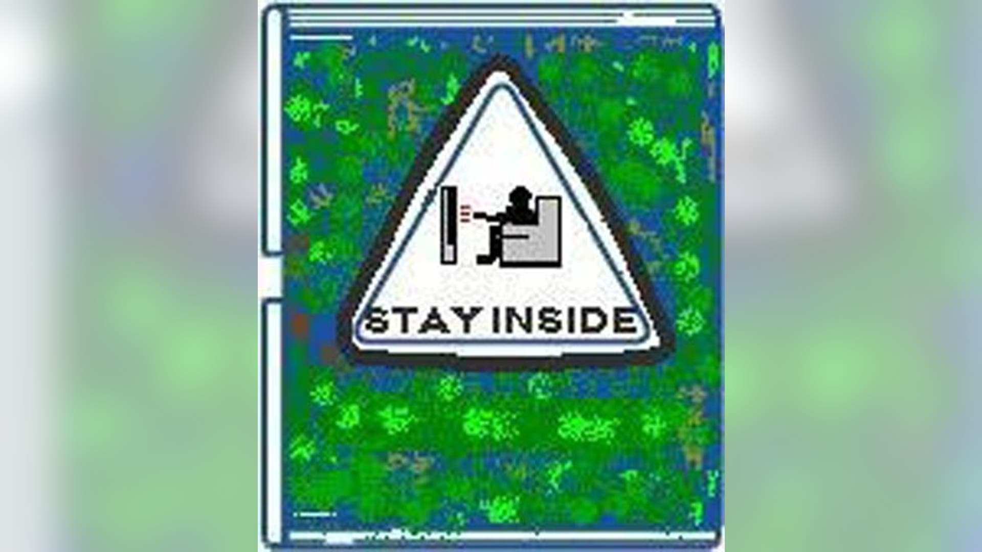 New Boy Scout Awards