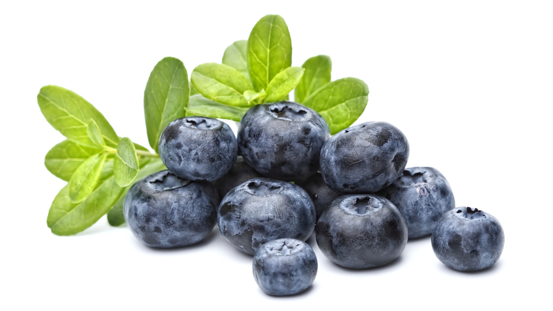 Blueberries