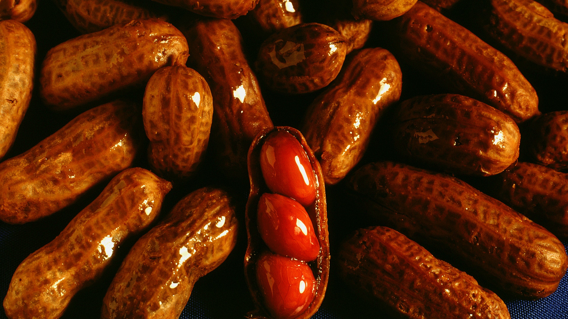Boiled Peanuts