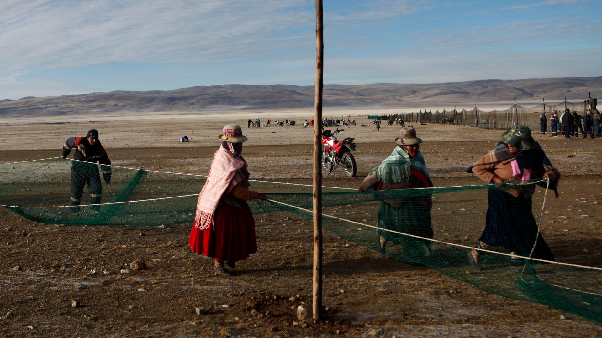 Bolivia_Vicuna_Photo__Grat__1_