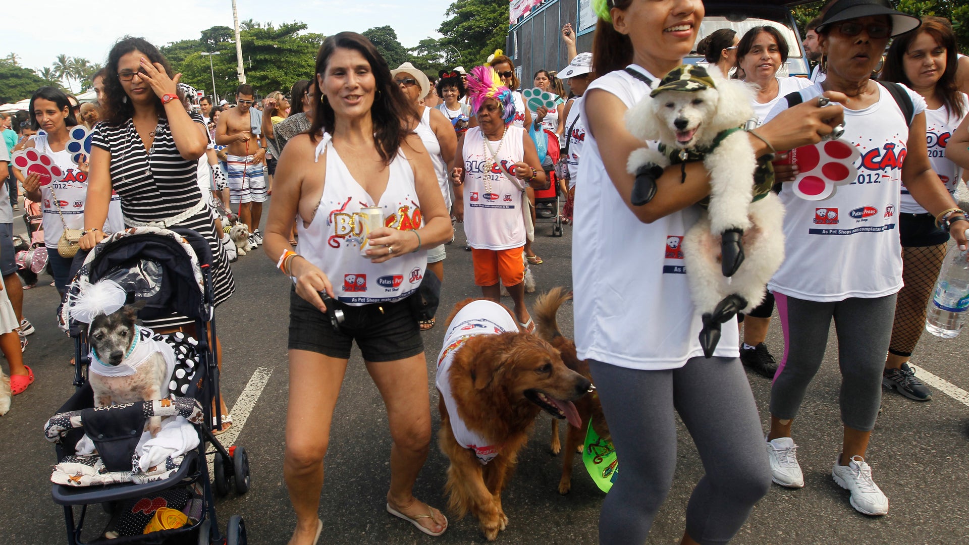 Brazil_Carnival_Dogs_2