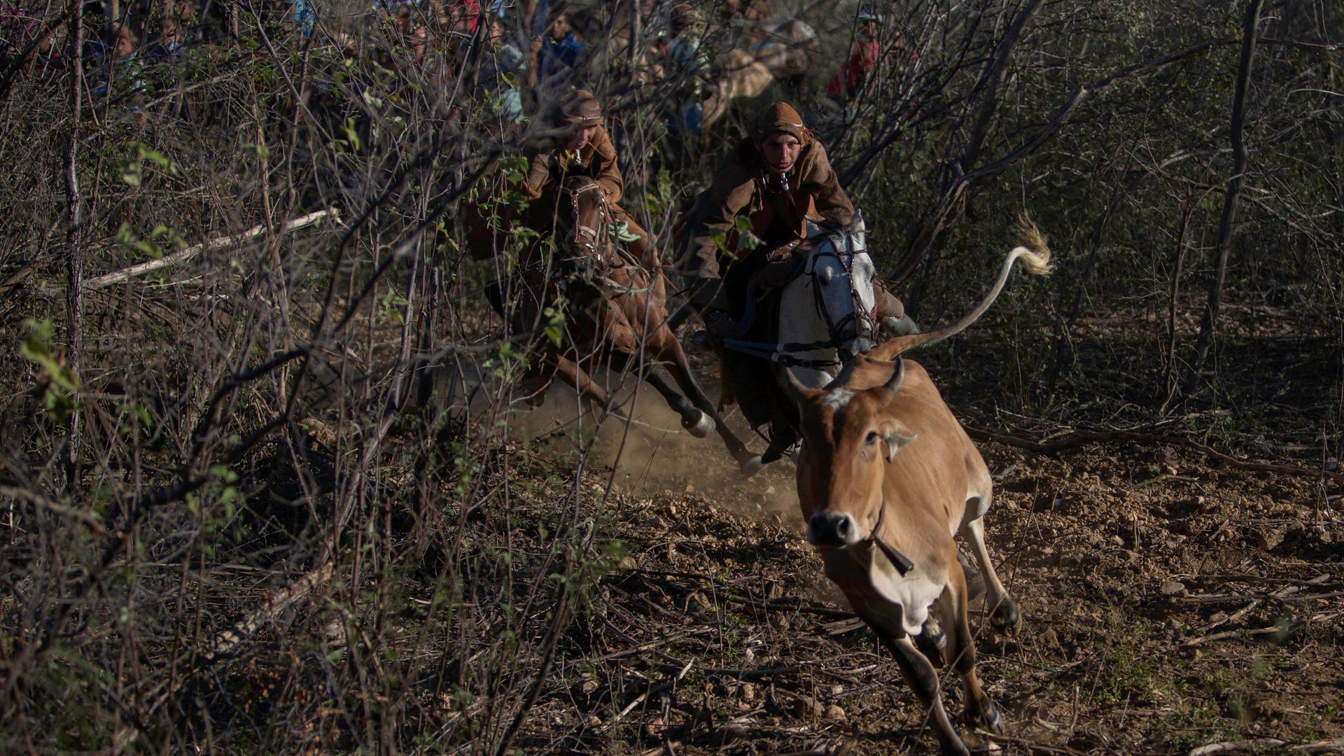 Brazil_Cowboy_Photo_E_Garc_11_