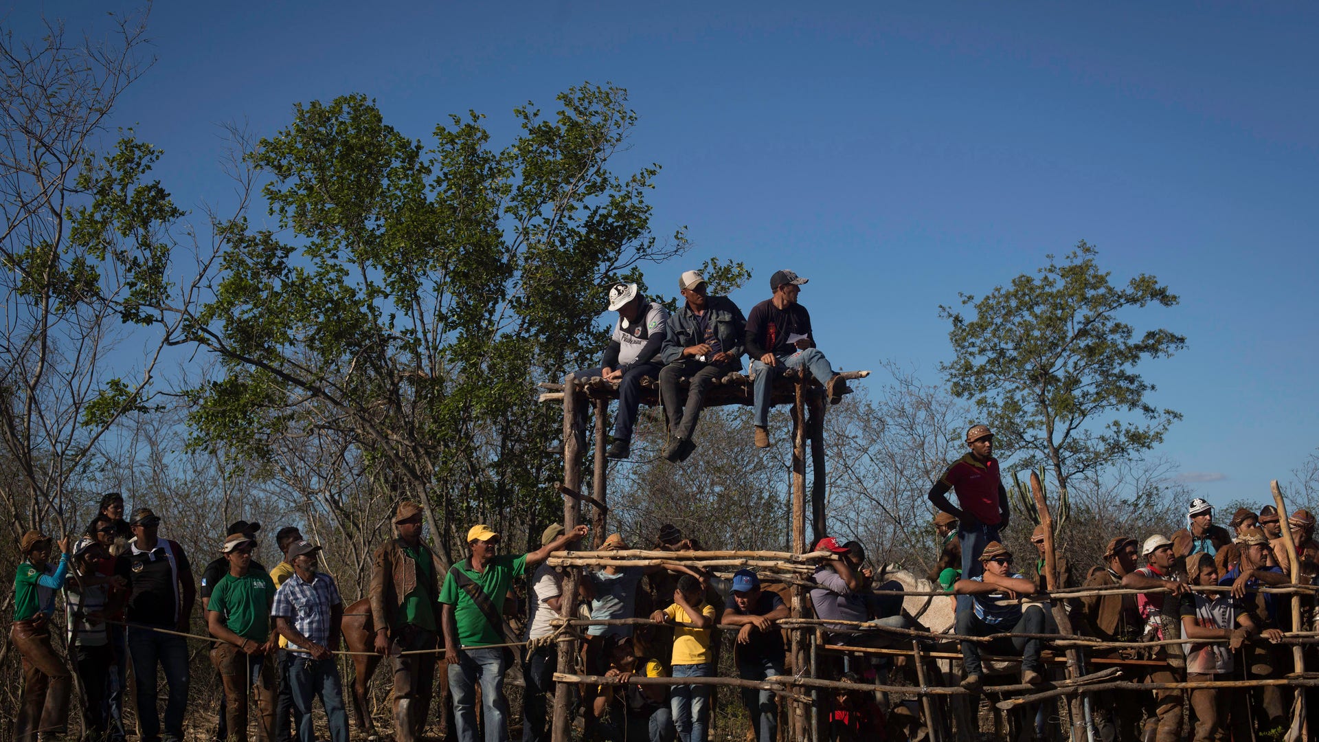 Brazil_Cowboy_Photo_E_Garc_13_