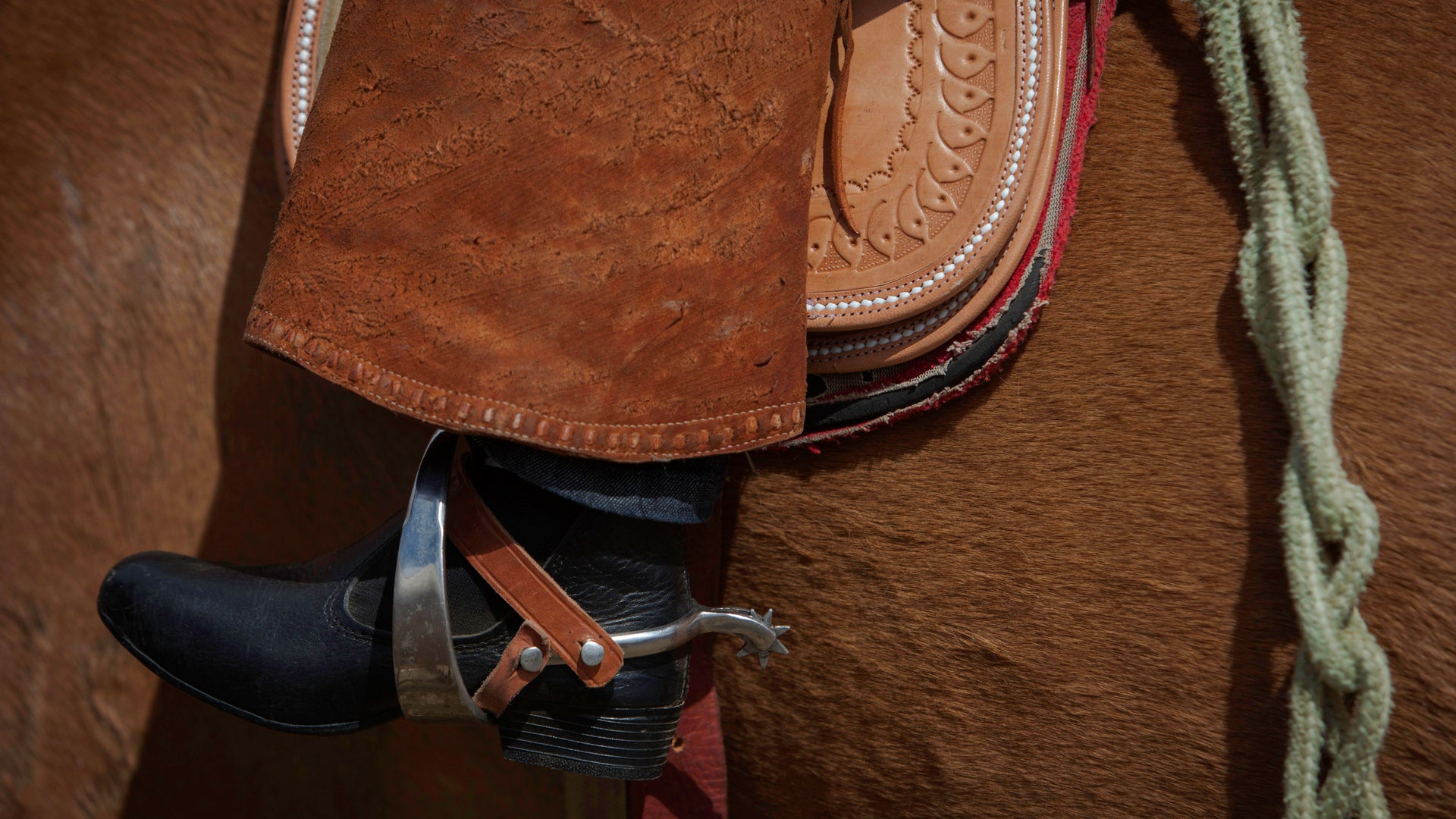 Brazil_Cowboy_Photo_E_Garc_5_