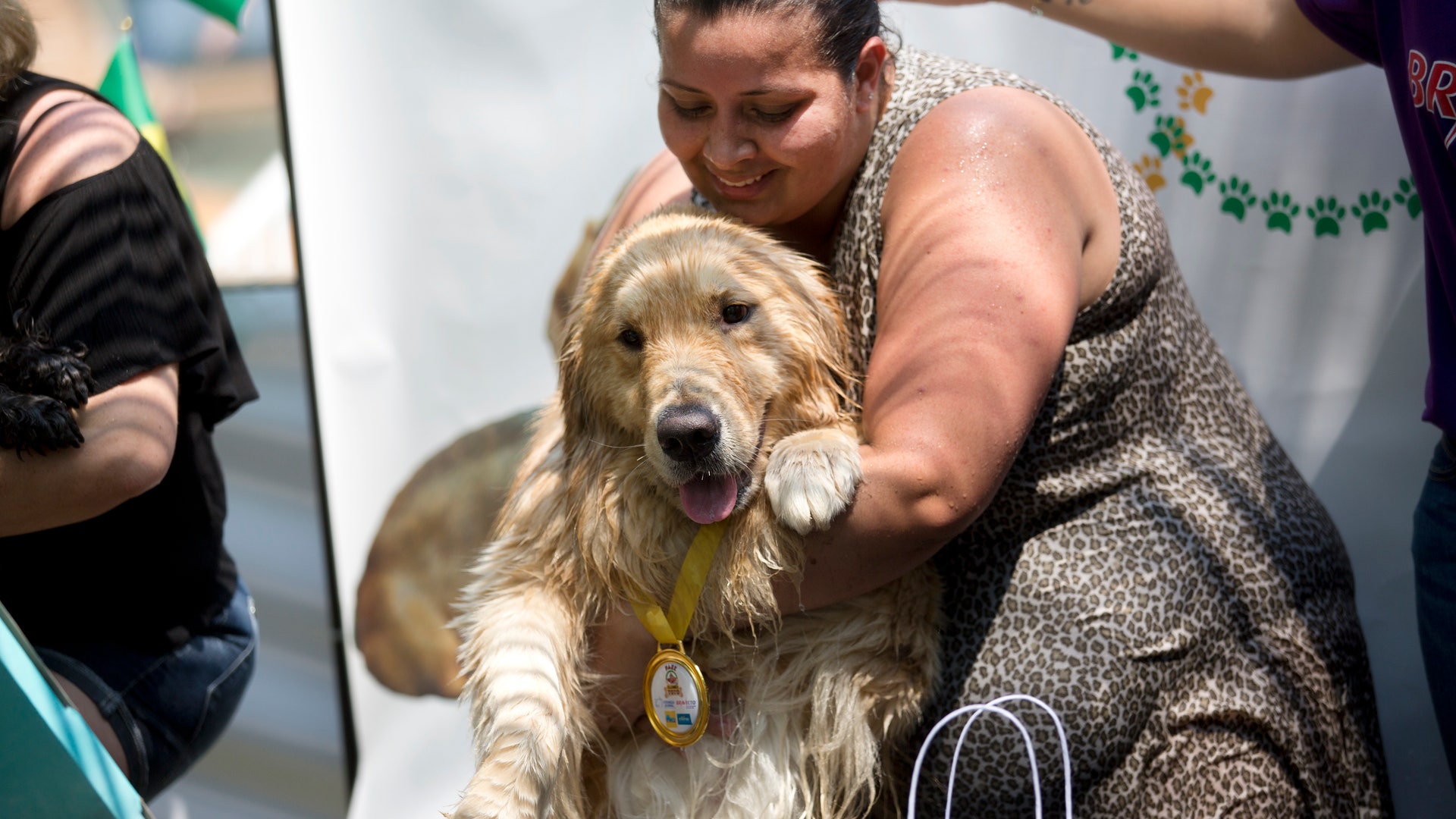 Brazil_Dog_Olympics__22_