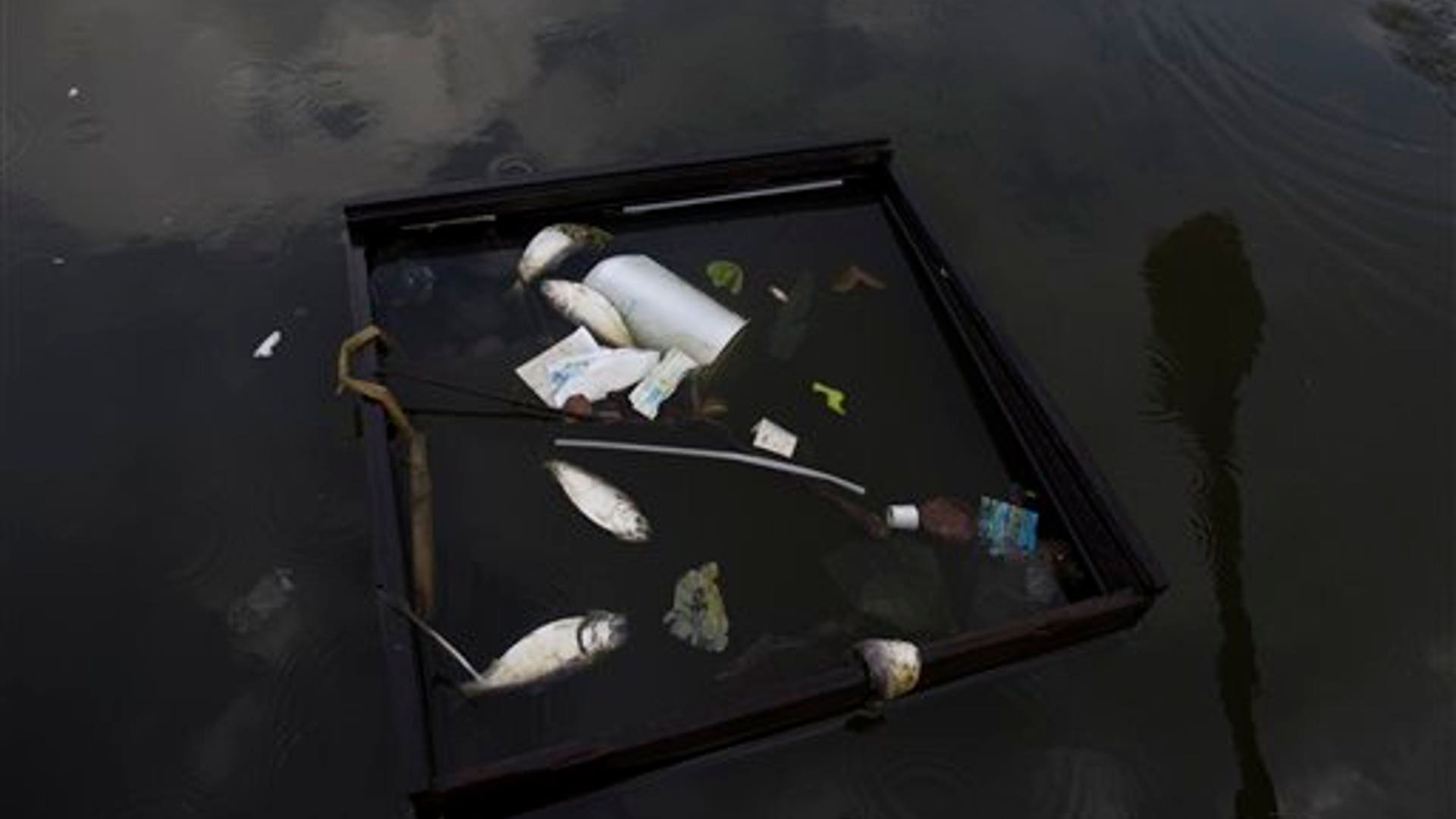 Brazil_Polluted_Bay_P_Garc__6_