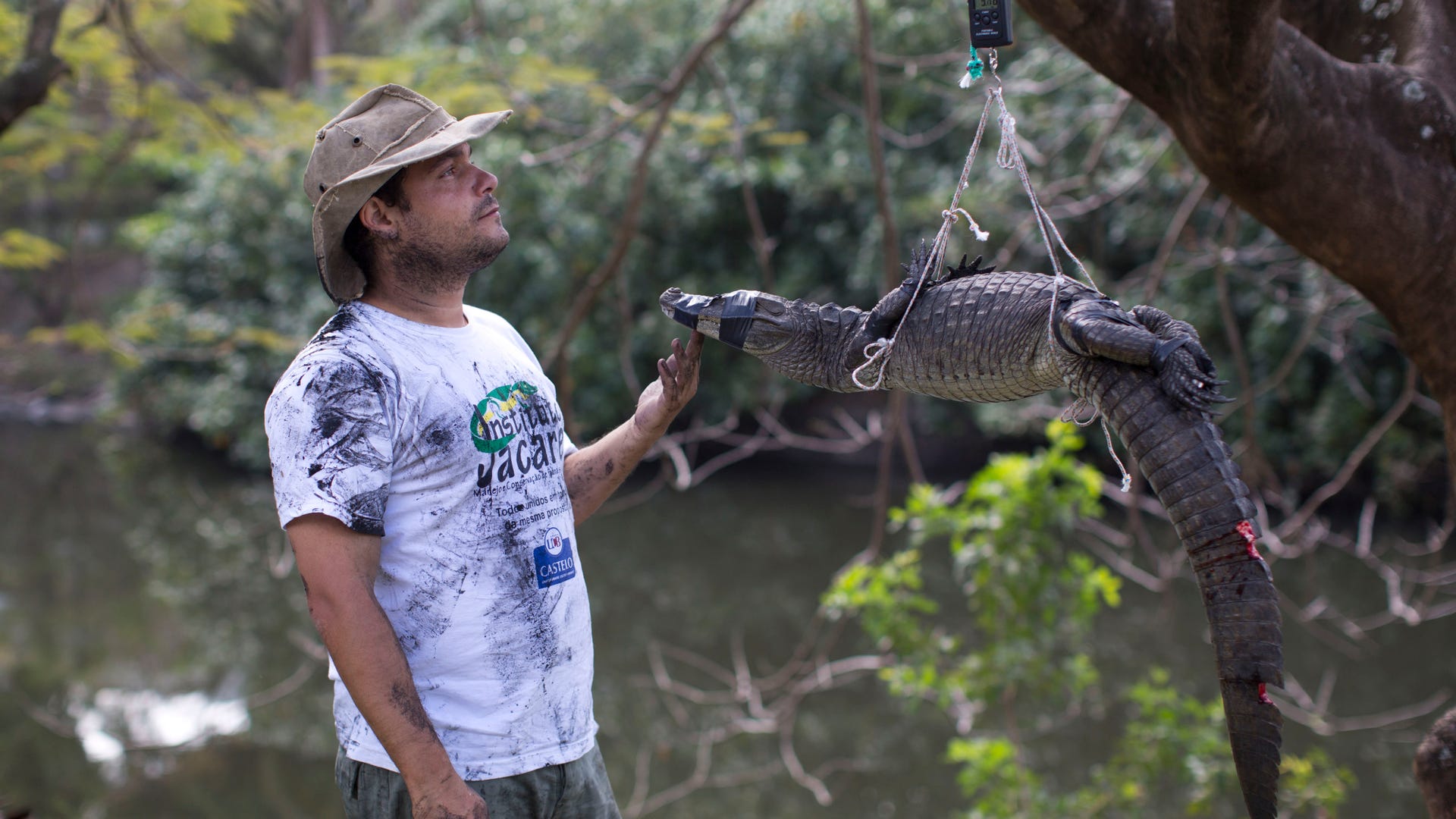 Brazil_Rio_Caimans_Grat__2_
