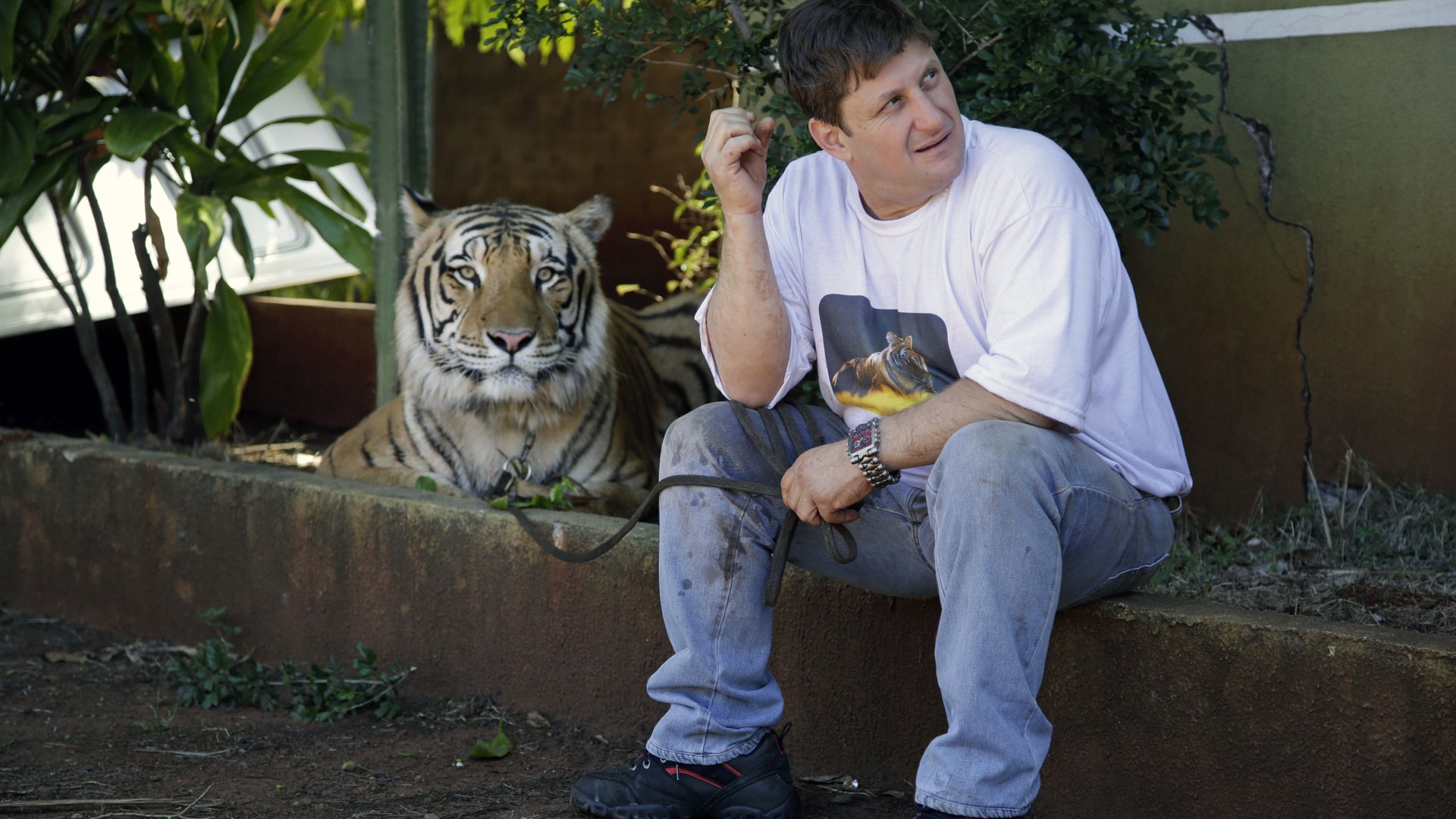 Brazil_Tiger_Family_Vros__7_