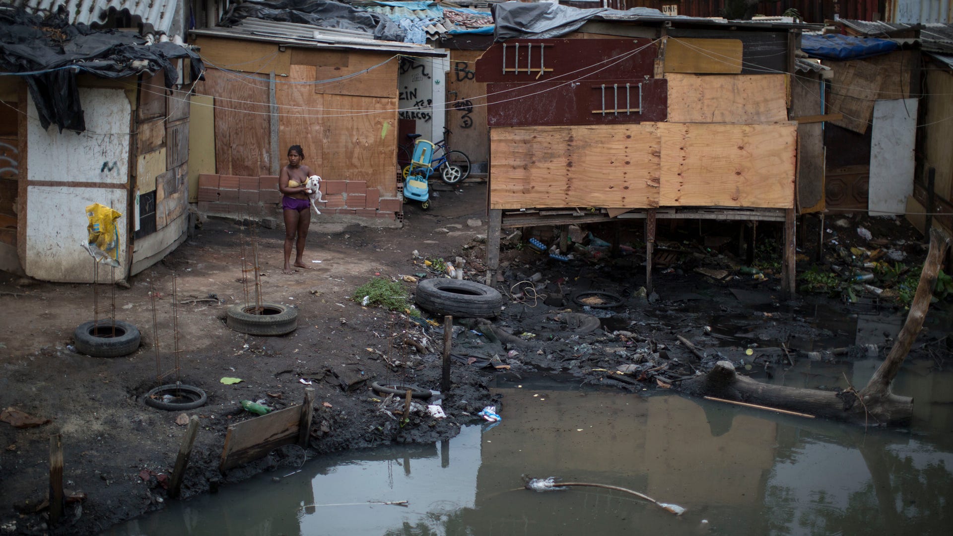 Brazil_Voting_Demographics__20_