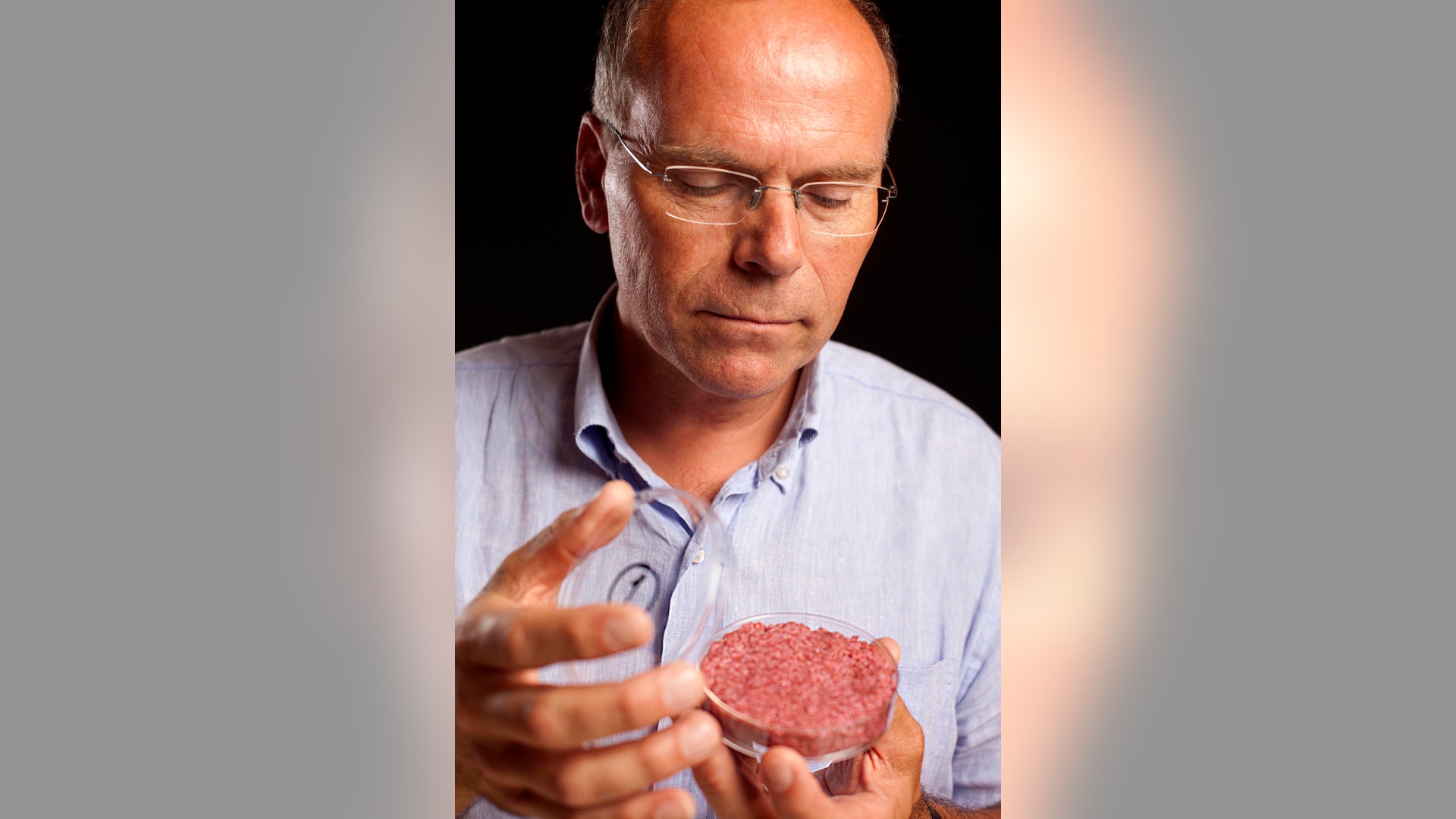 Britain_Stem_Cell_Bur_Garc__4_