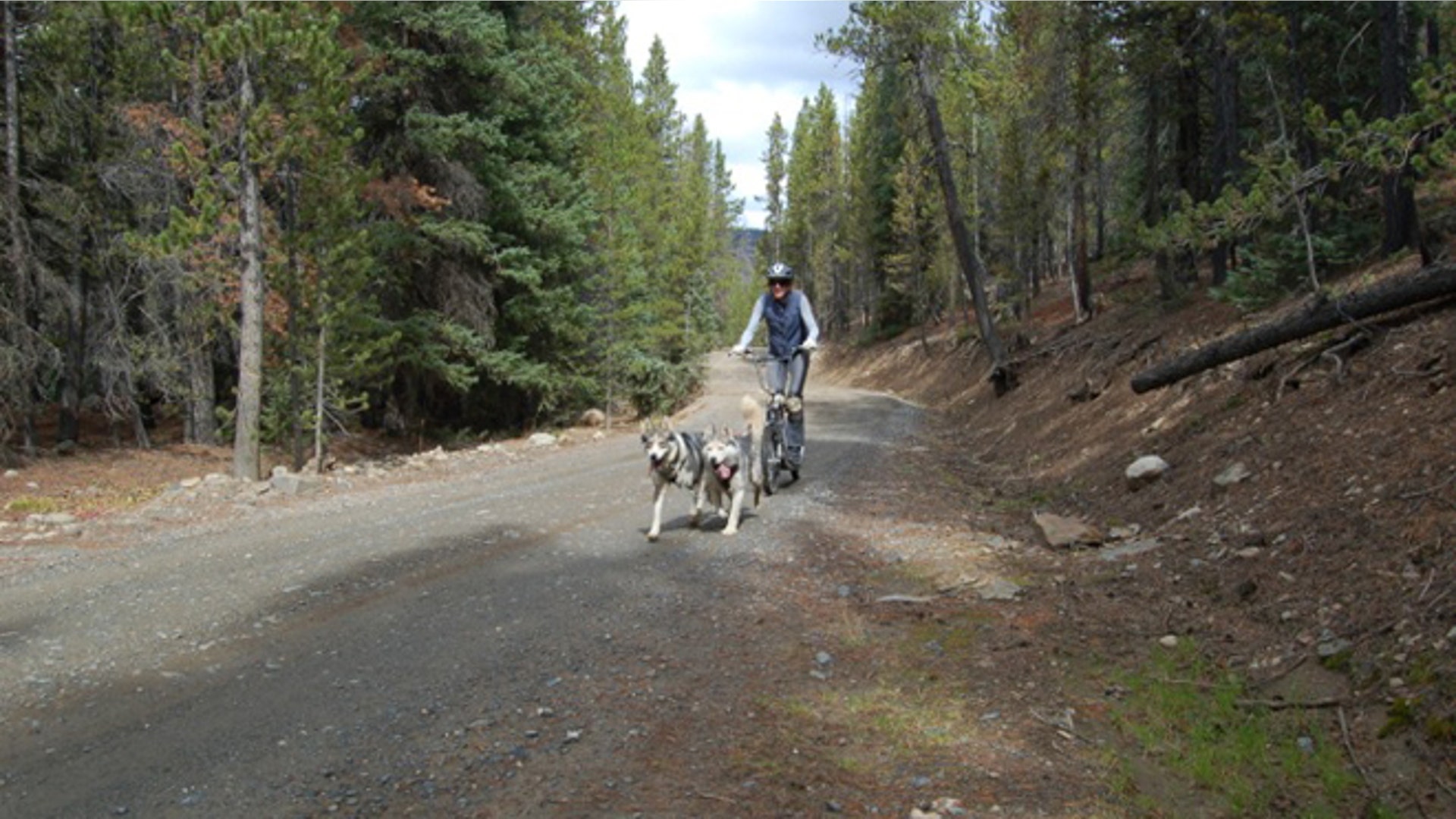 CO_dog_powered_tours