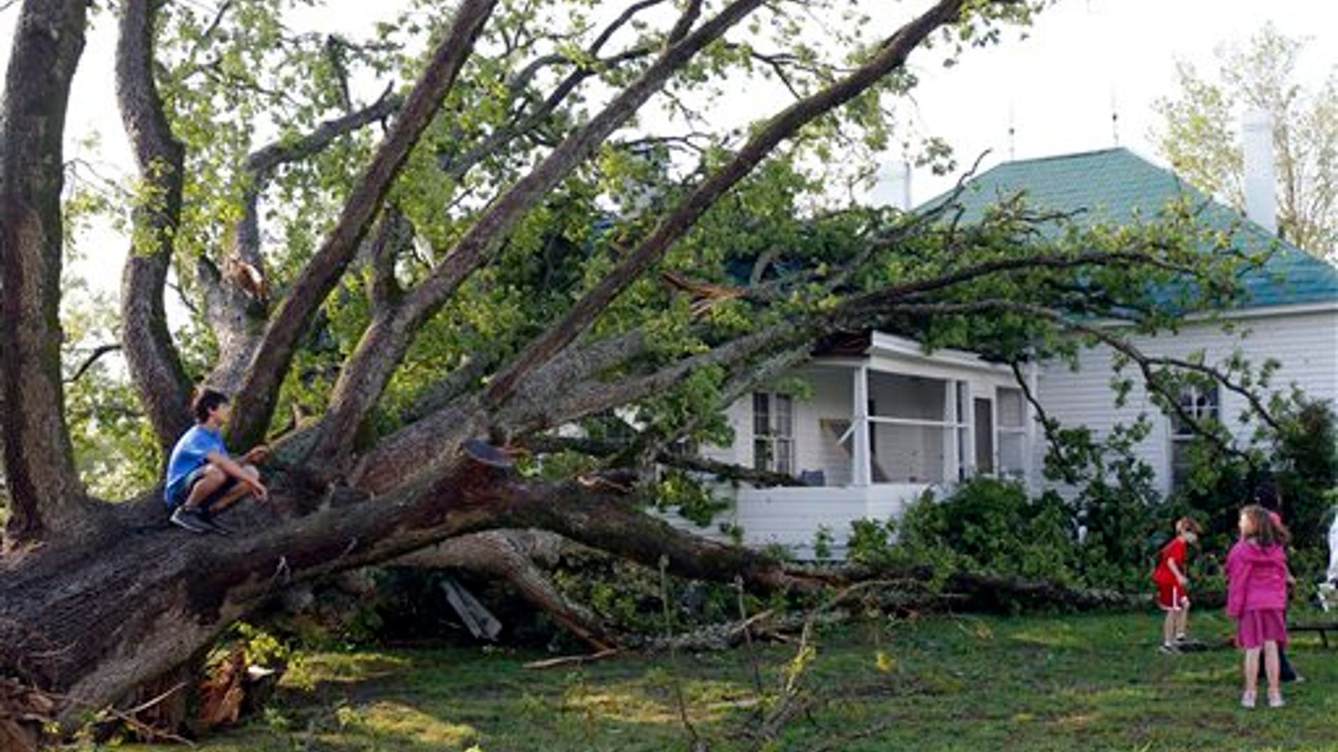 упавшее дерево на дом. упавшее дерево на дом. падение дерева на дом. северная каролина деревья. дерево упало на крышу частного дома.