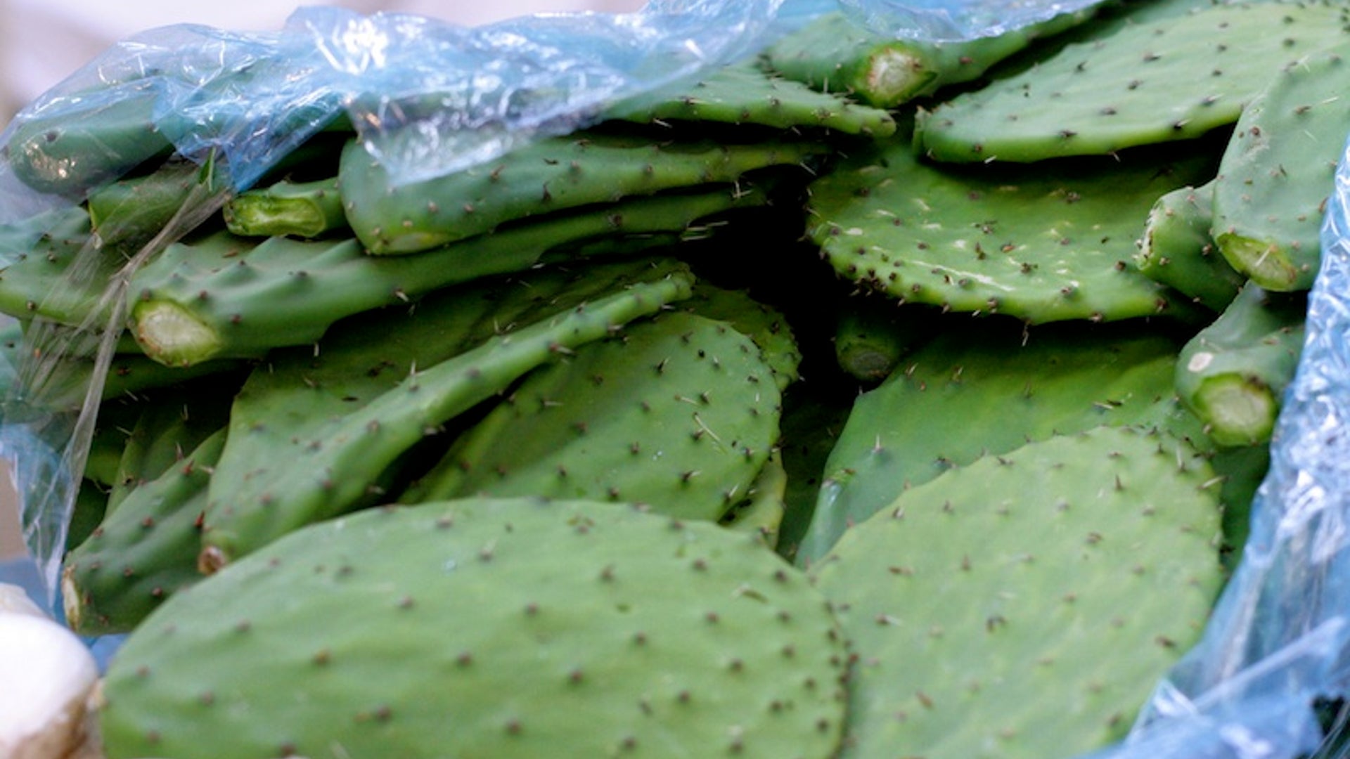 Talavera's cactus salad