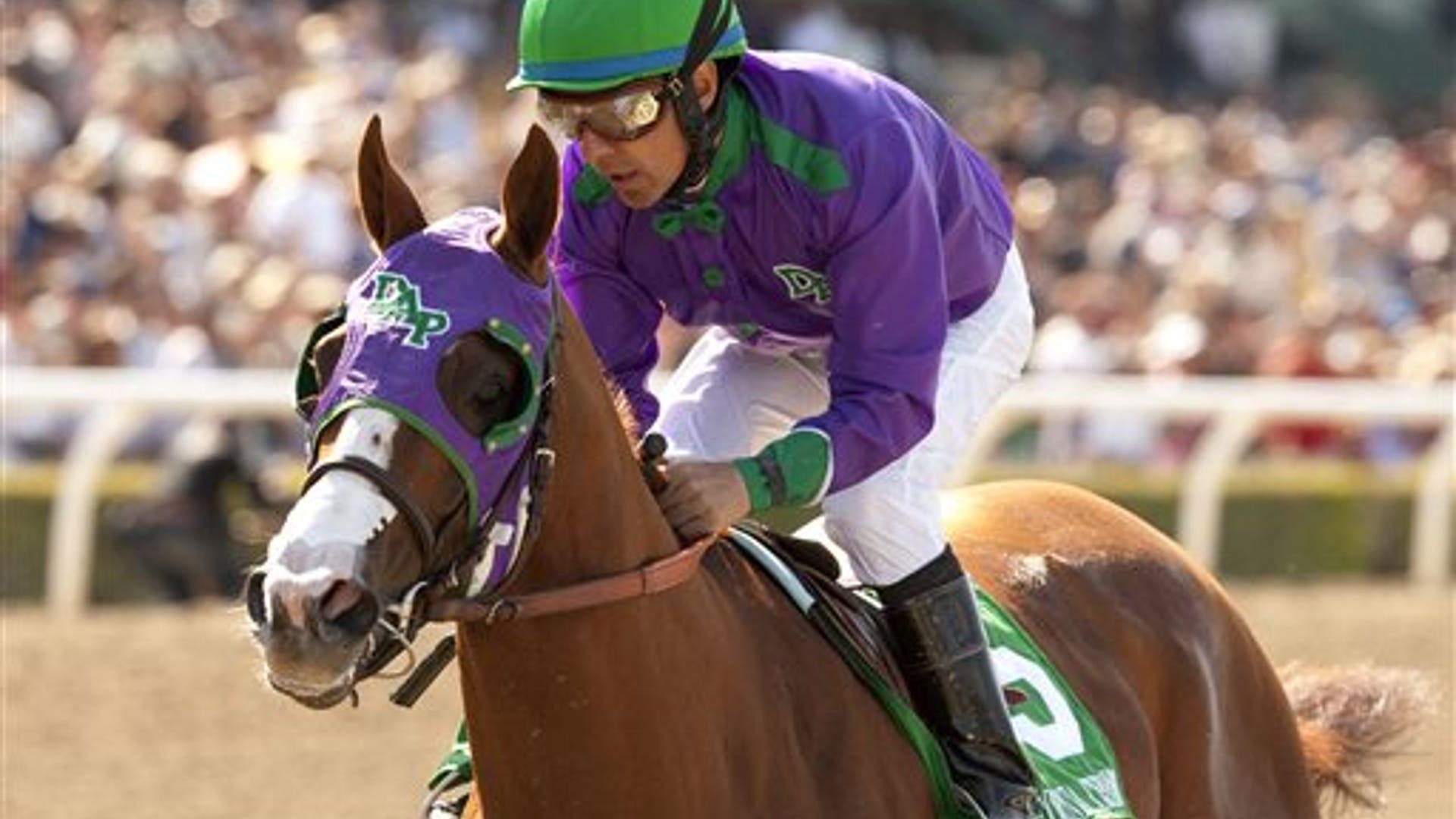 California_Chrome_17