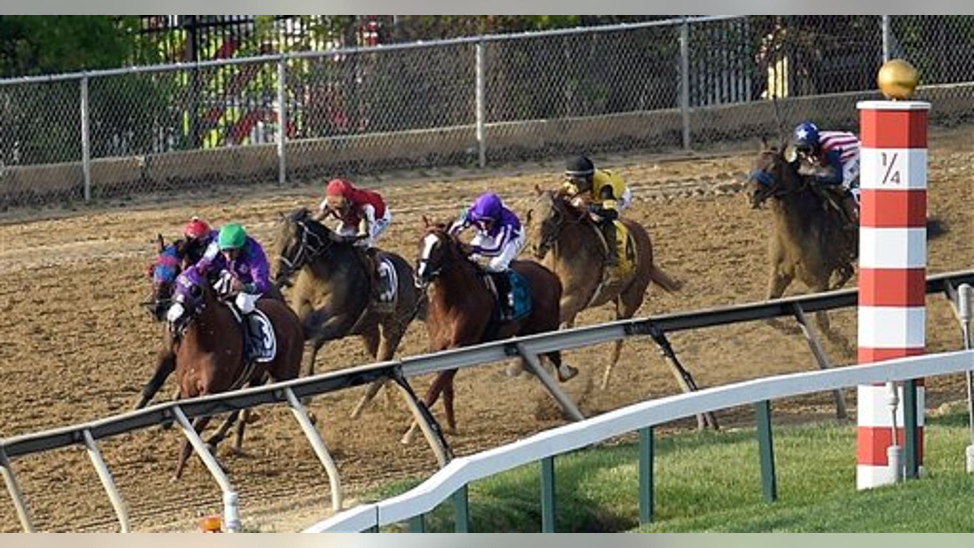 California_Chrome_18