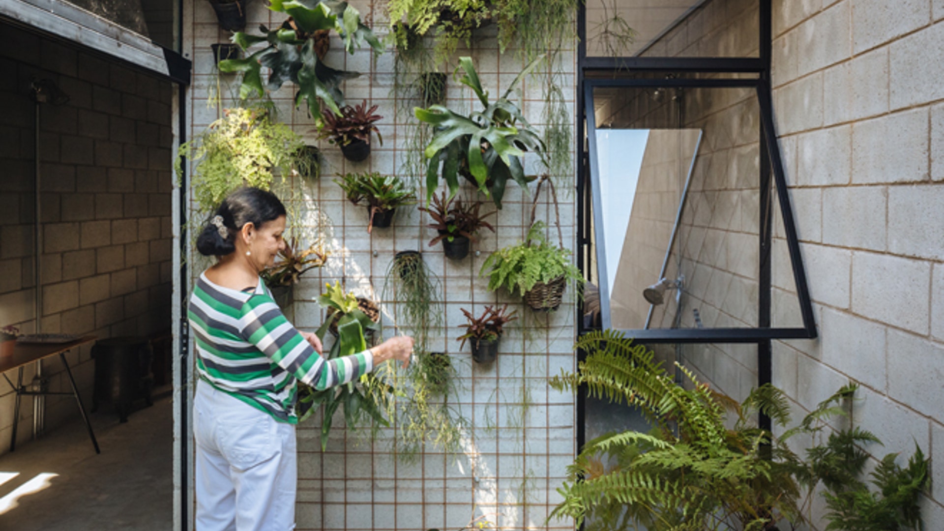 Casa_Vila_Matilde_after__5_