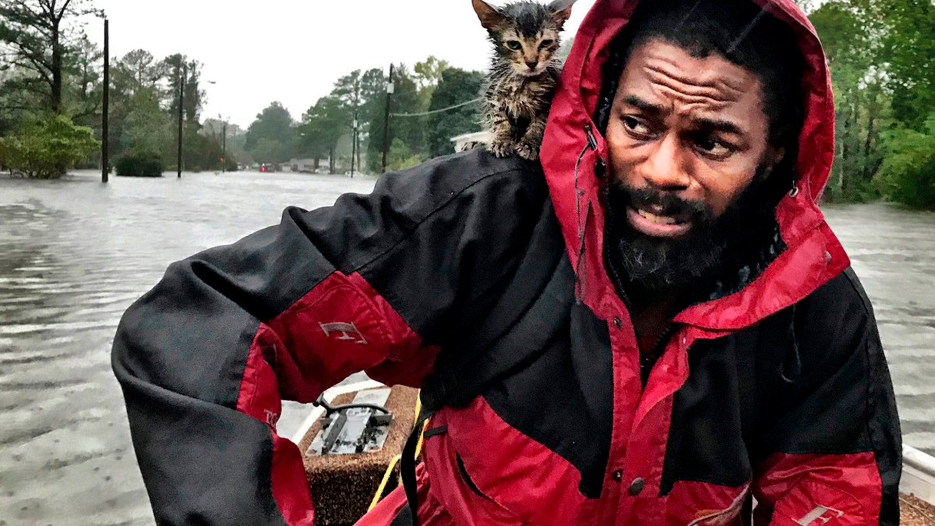 Robert Simmons Jr and his kitten Survivor are rescued from floodwaters after Hurricane Florence Friday