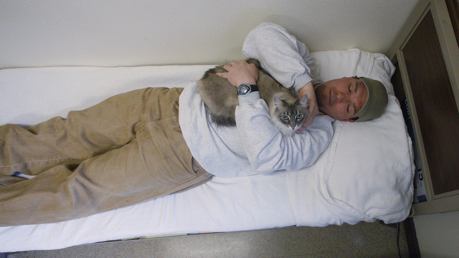 Cats_Behind_Bars_Garc__1_