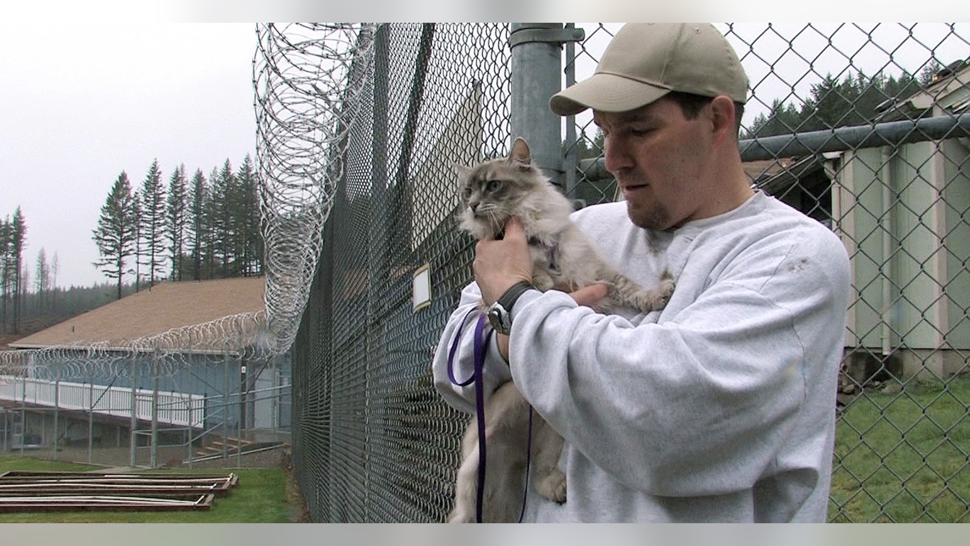 Cats_Behind_Bars_Garc__5_