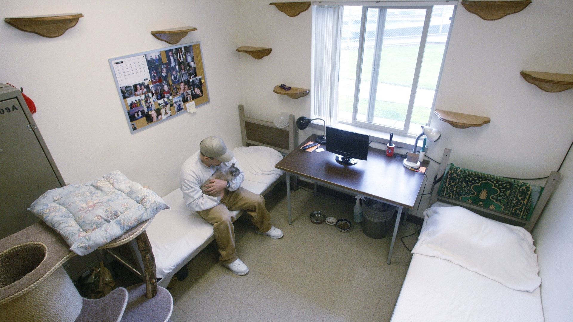 Cats_Behind_Bars_Garc__6_