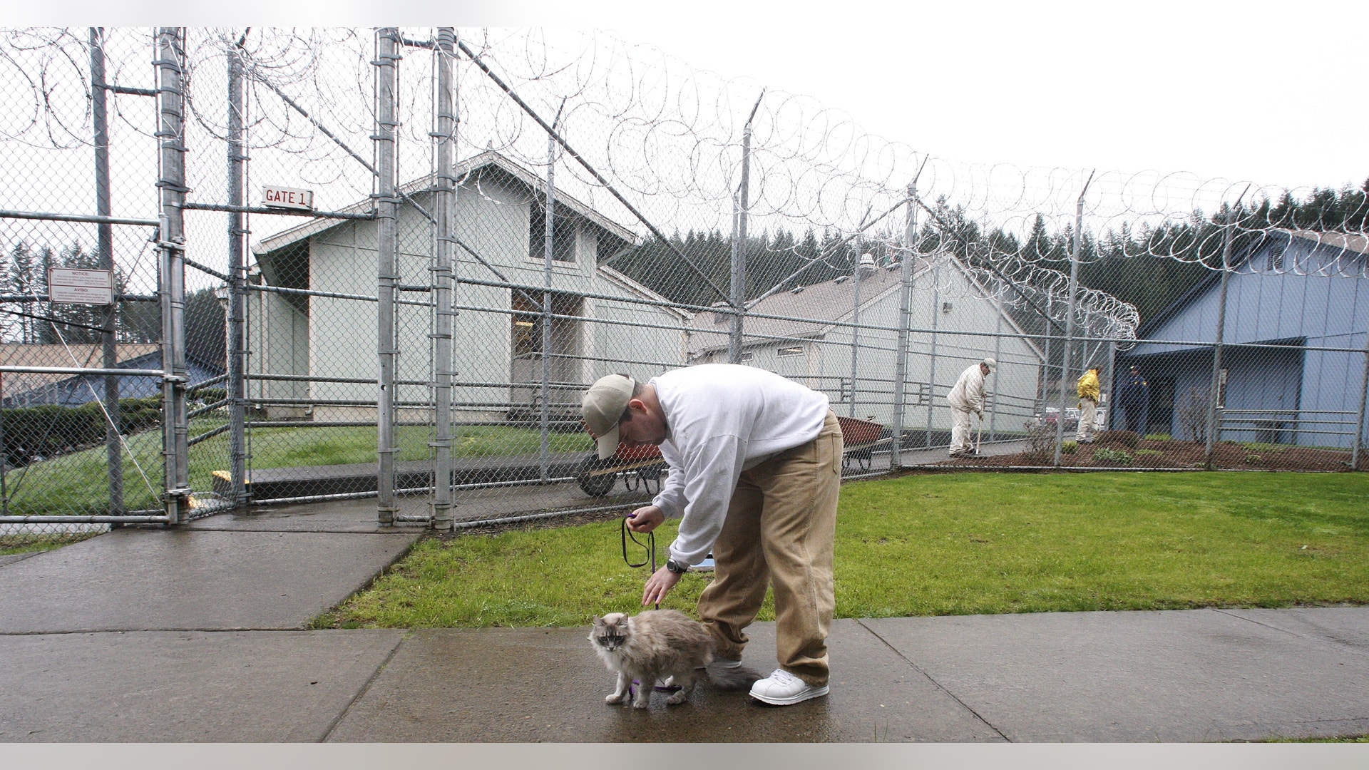 Cats_Behind_Bars_Garc__7_