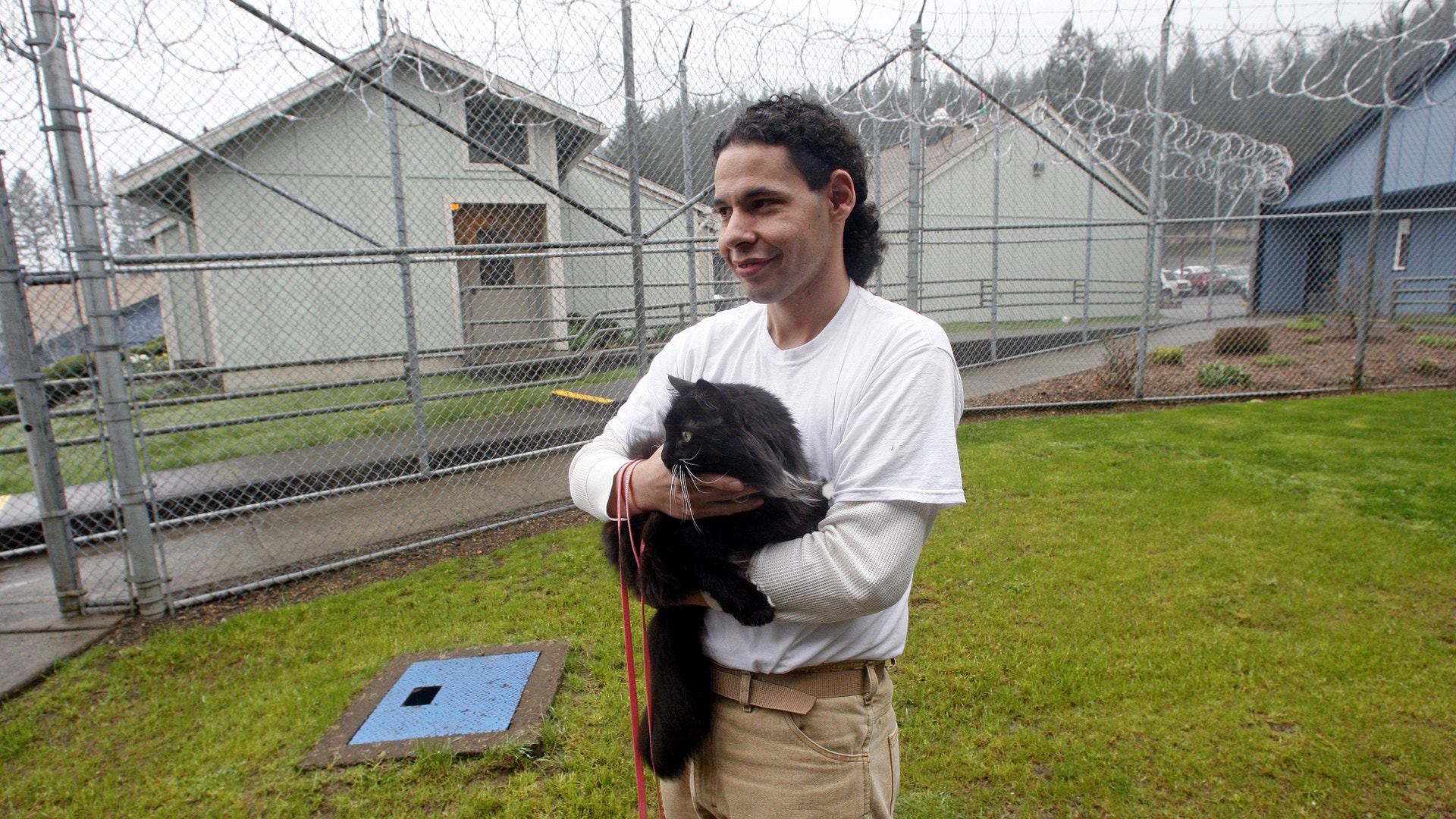 Cats_Behind_Bars_Garc