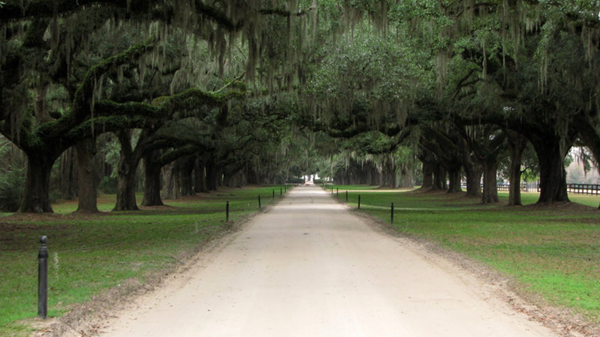 5…Admire the Oak Alleys