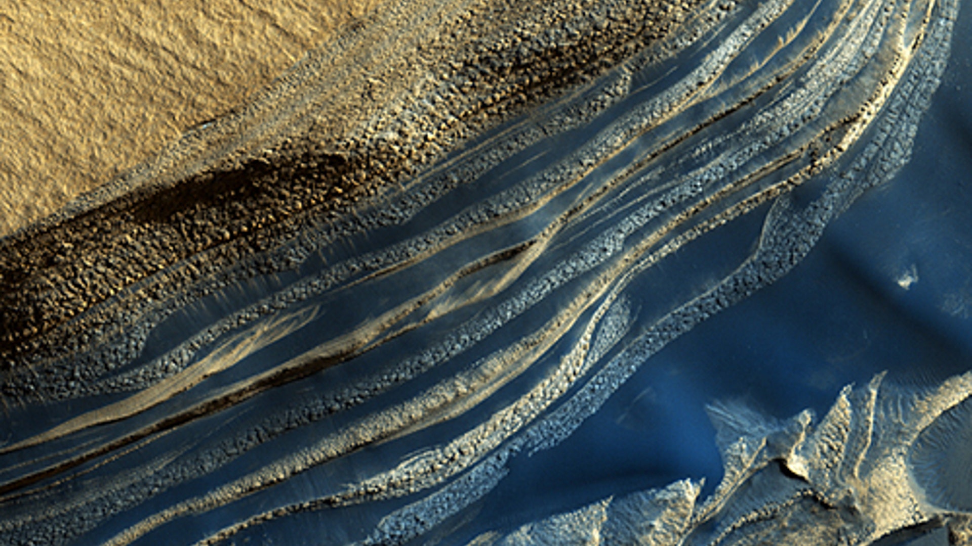 The Polar Dunes of Mars