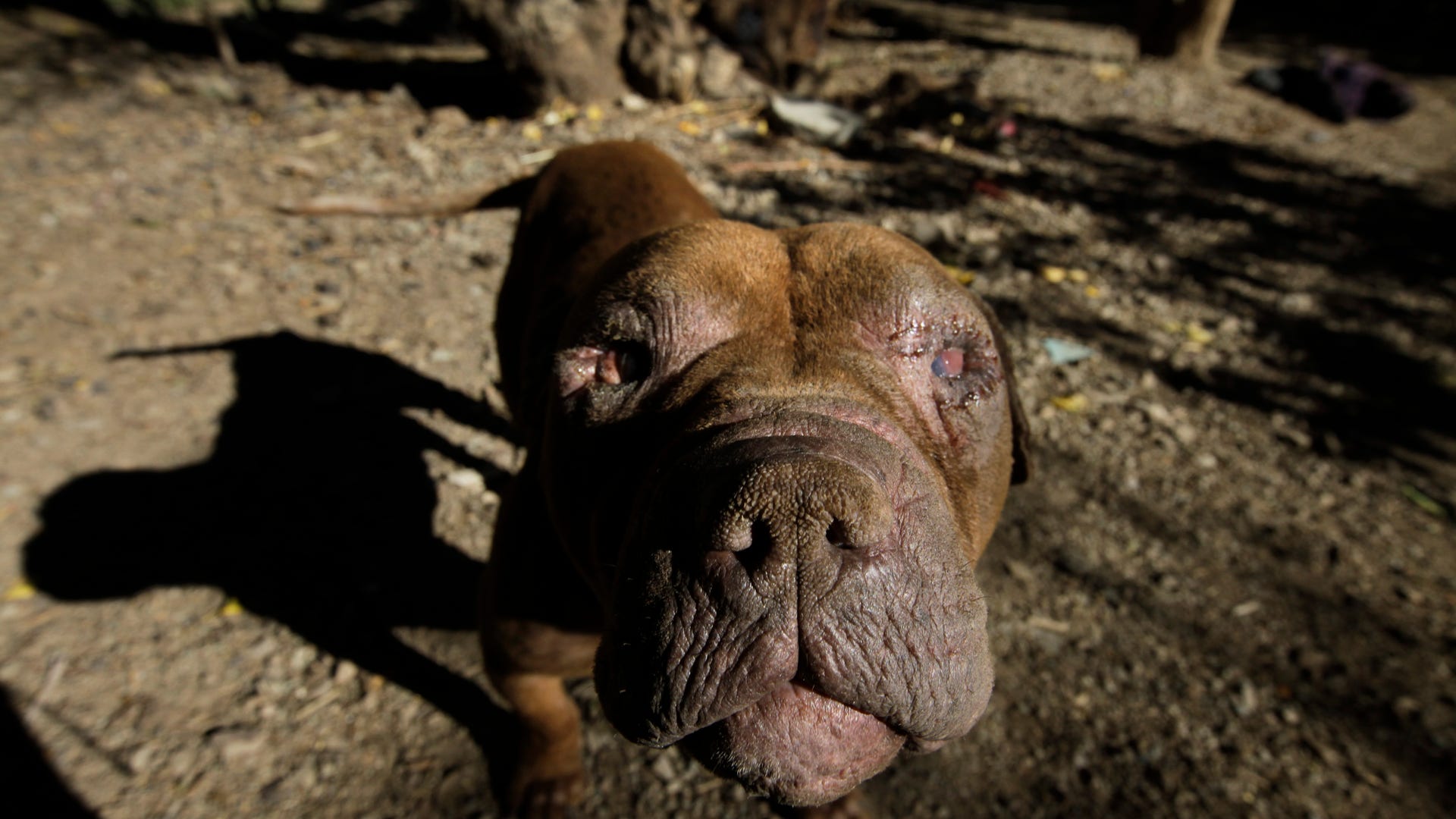 Chile_Barrick_Gold__13_