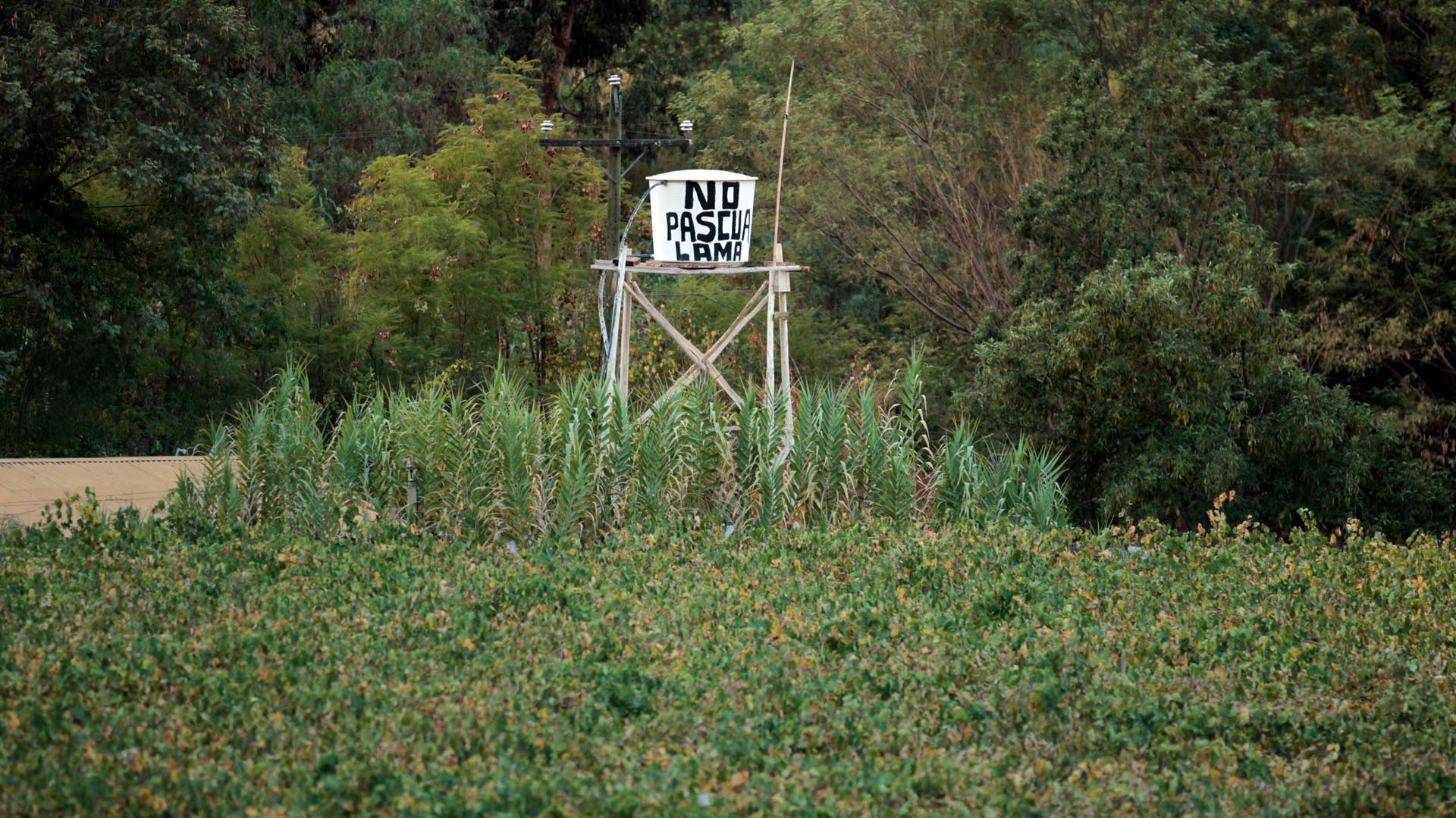 Chile_Barrick_Gold__15_