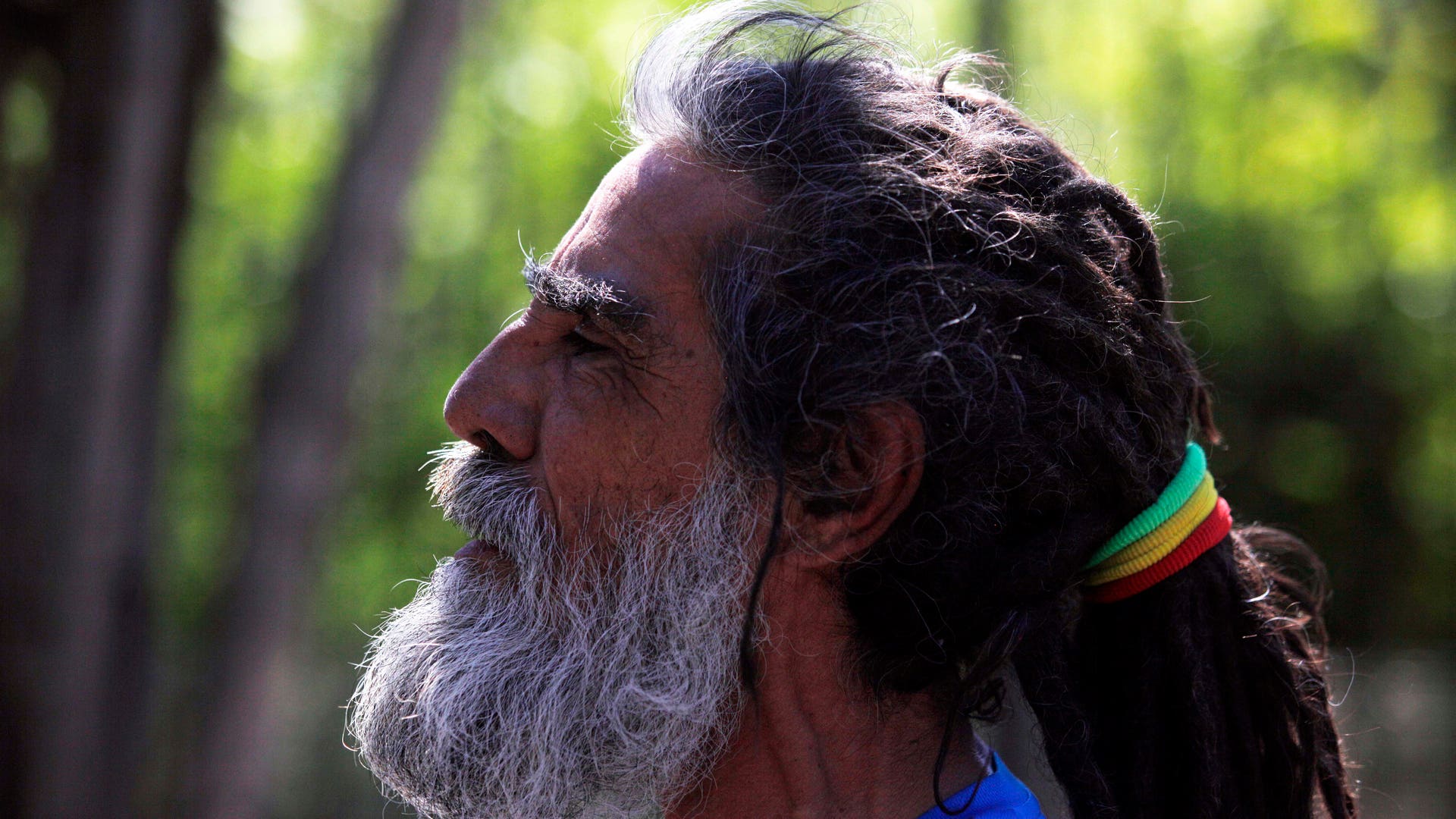 Chile_Dalmatian_Man_Vros__1_