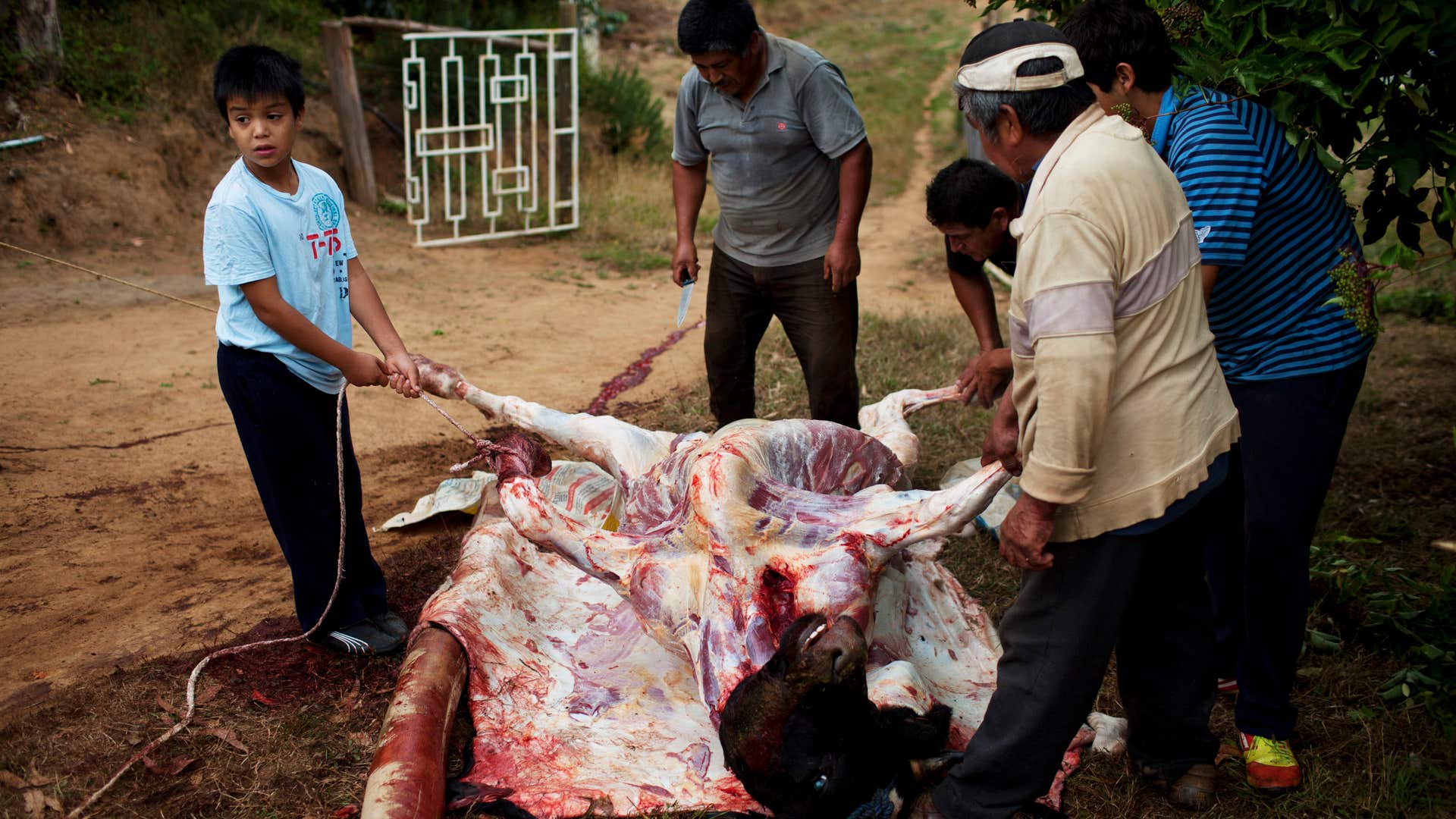 Chile_Mapuche_Conflict__11_