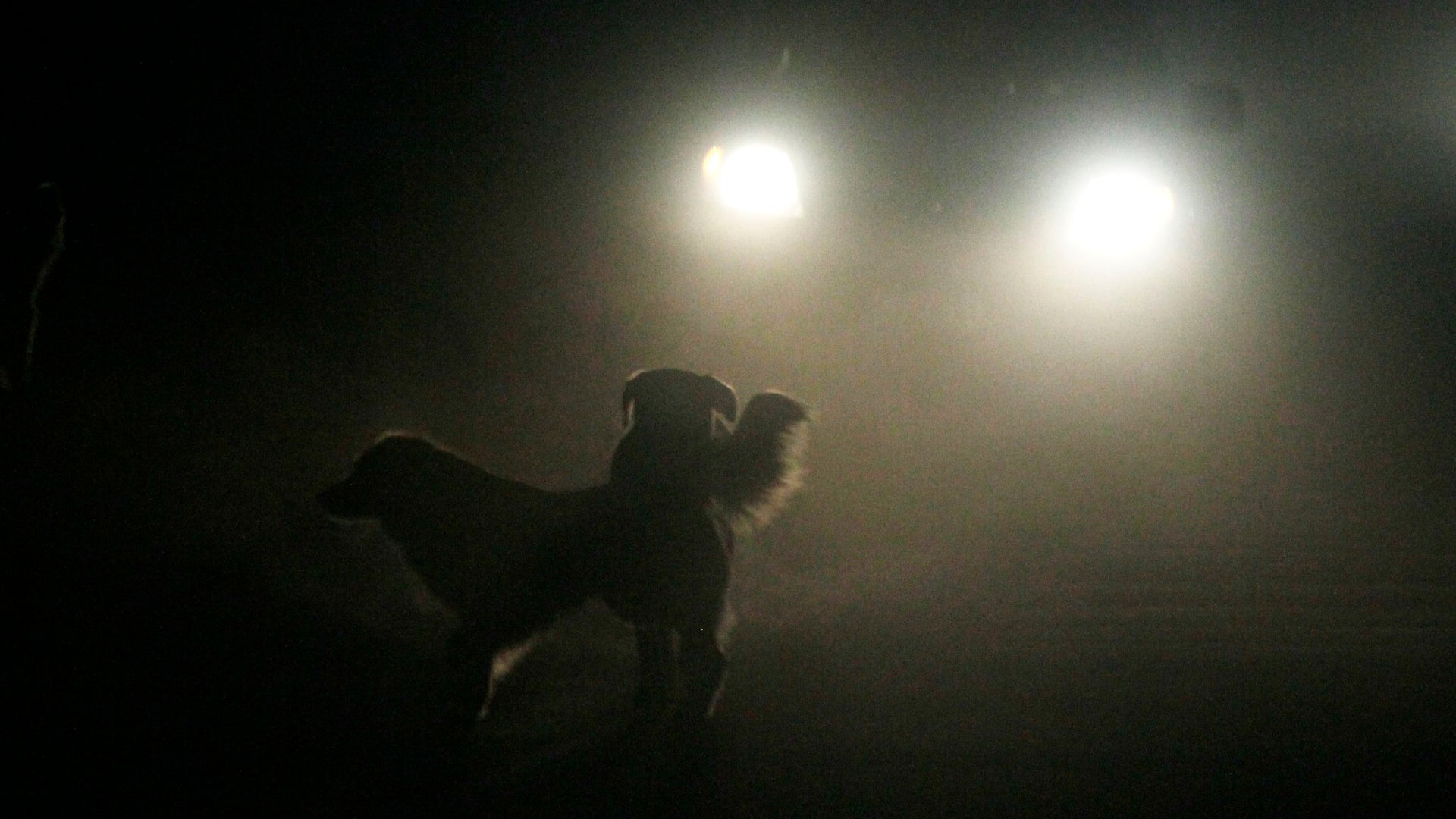 Chile_Volcano_Erupts_Vros__6_